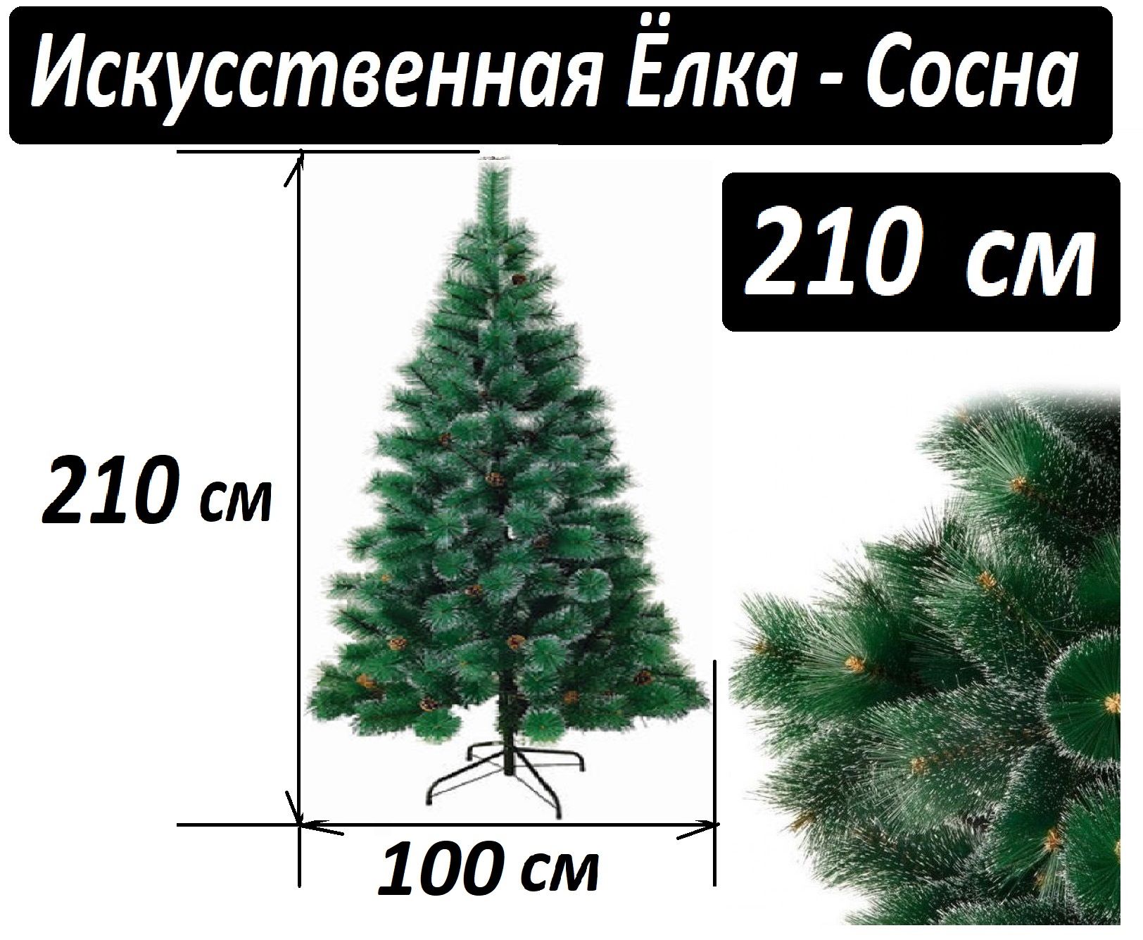 Елка вирджиния 180. Царь елка 210. Диаметр елки 210 см. 2. Елка новогодняя принцесса 190см.