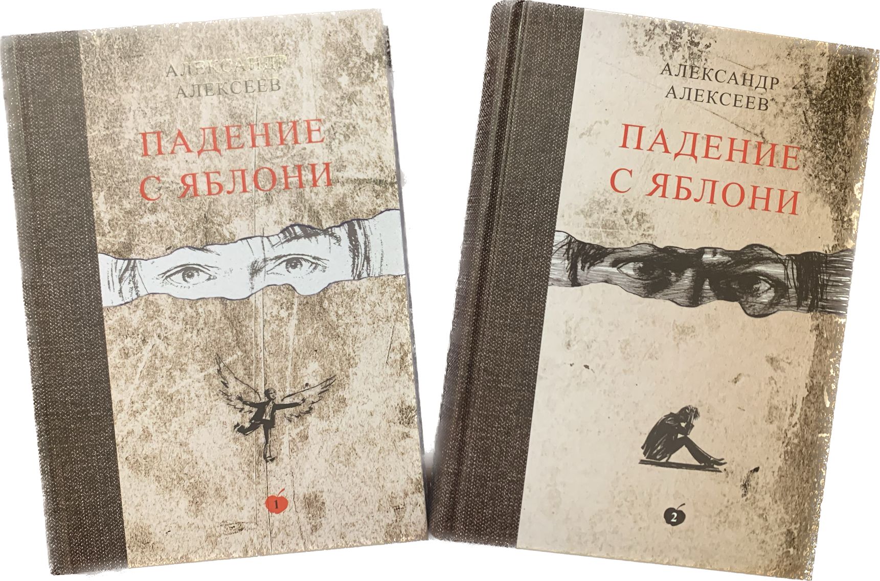 Падение книга купить. Книга Ch. Падение книга. Падающие книги. Пламя книга и падения книга.