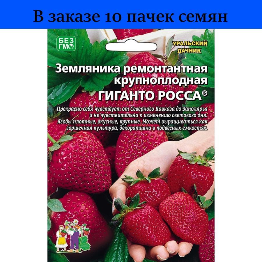 Земляника сладкоежка f1 Аэлита ремонтантная,крупноплод.