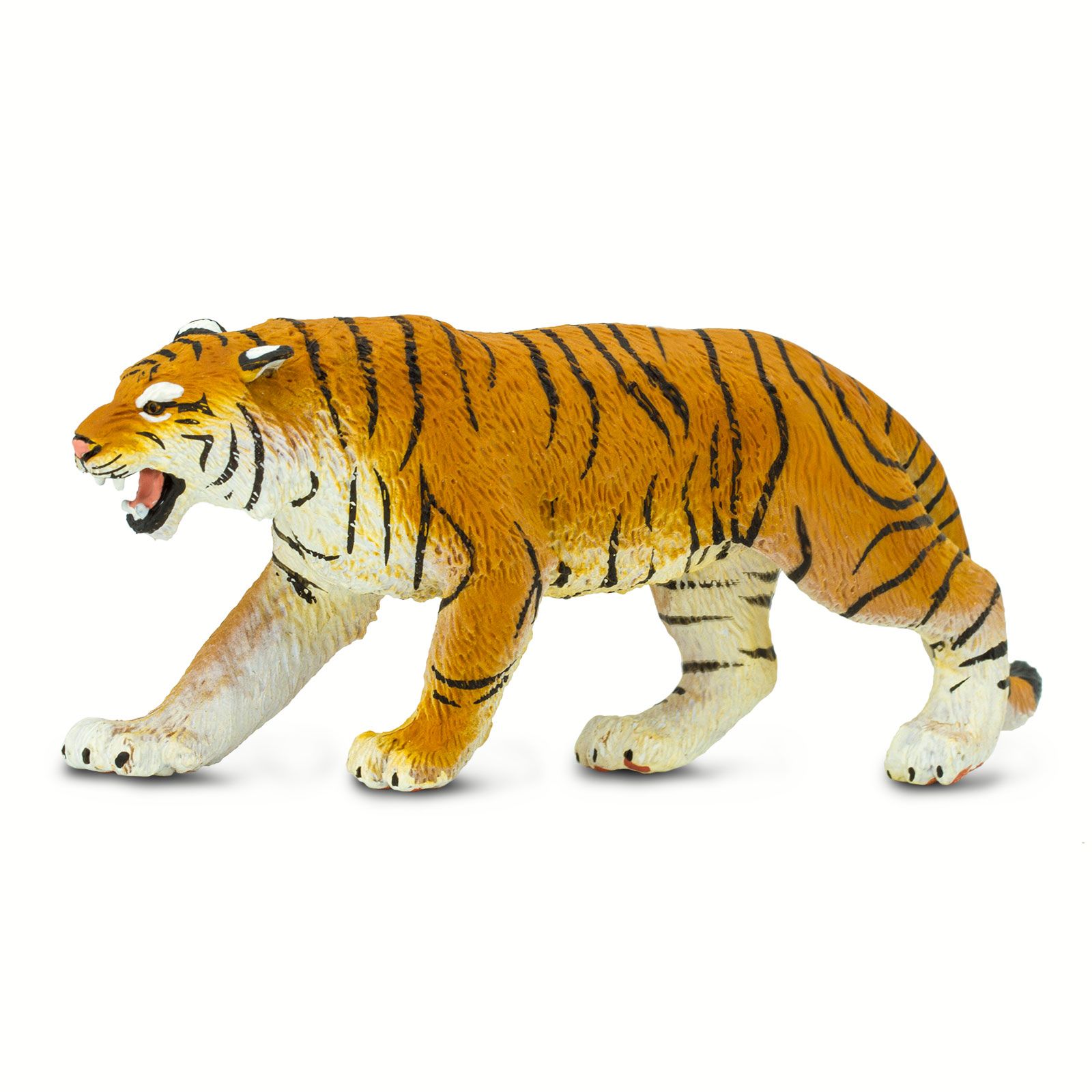 Saffari Tiger