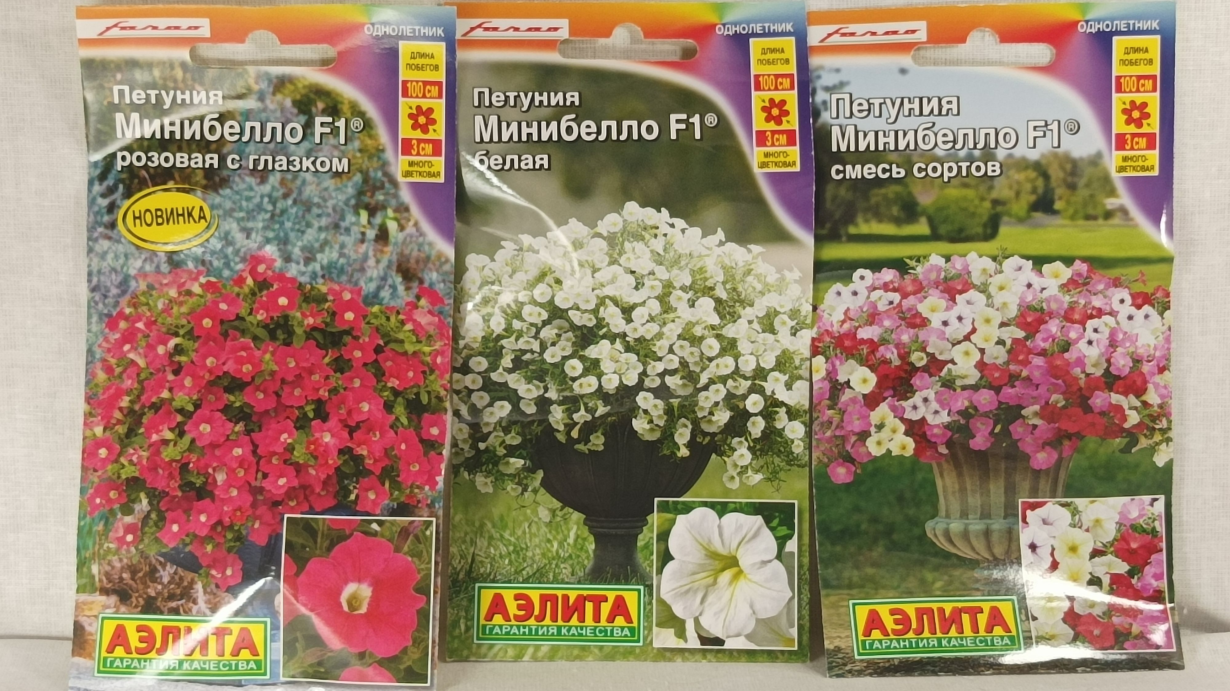Купить Семена Калибрахоа Оптом