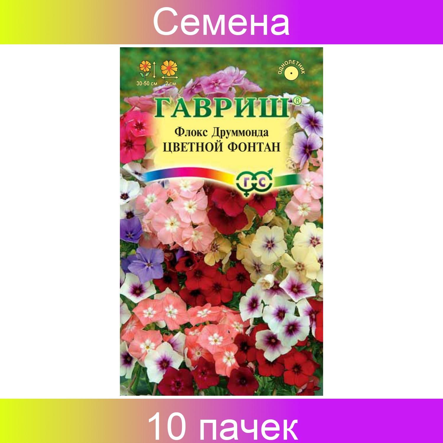 Флоксы Однолетние Купить Семена