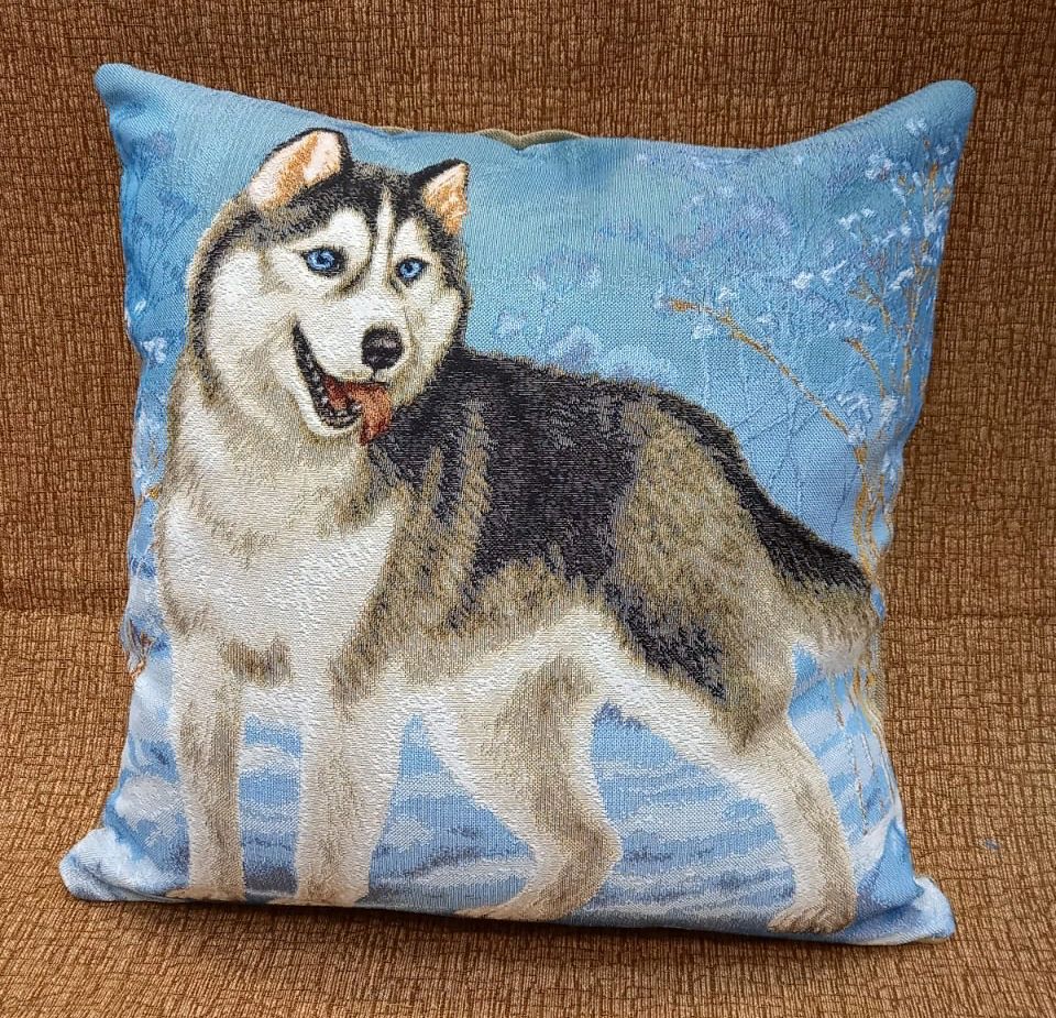 Диван для собаки. Лежак для собак scruffs highland mattress l 100х70 см. Лежанка честер. Кровать тахта хаски. Aimkid soft fuzzy.