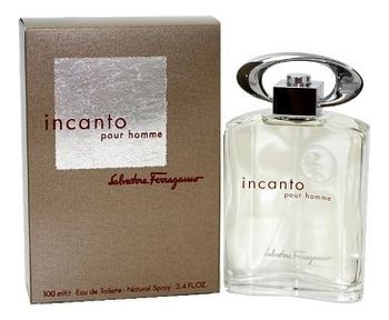 SALVATORE FERRAGAMO INCANTO BLUE edt MAN 100ml OZON 890763358