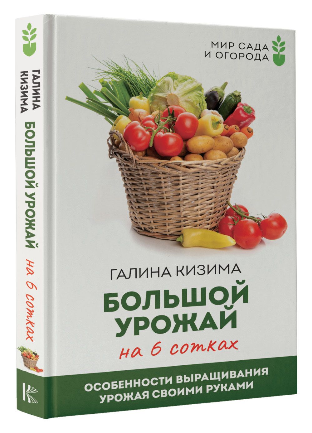 Идеи ландшафтного дизайна — как распланировать свои 6 соток