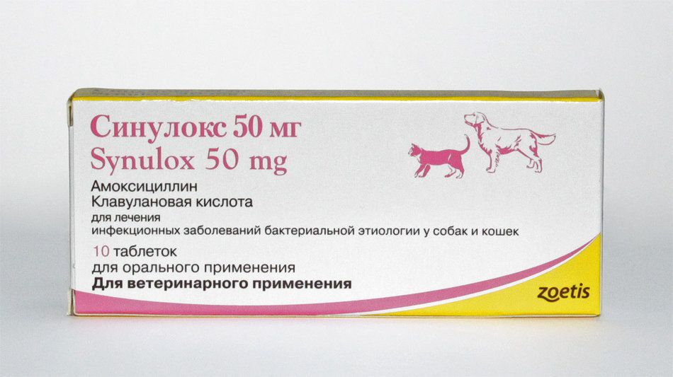 Синулокс для кошек инструкция