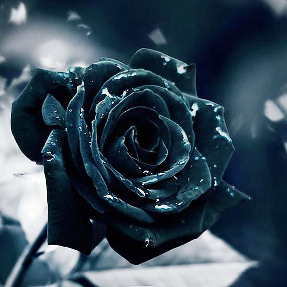 Фото в черном цвете на аватар