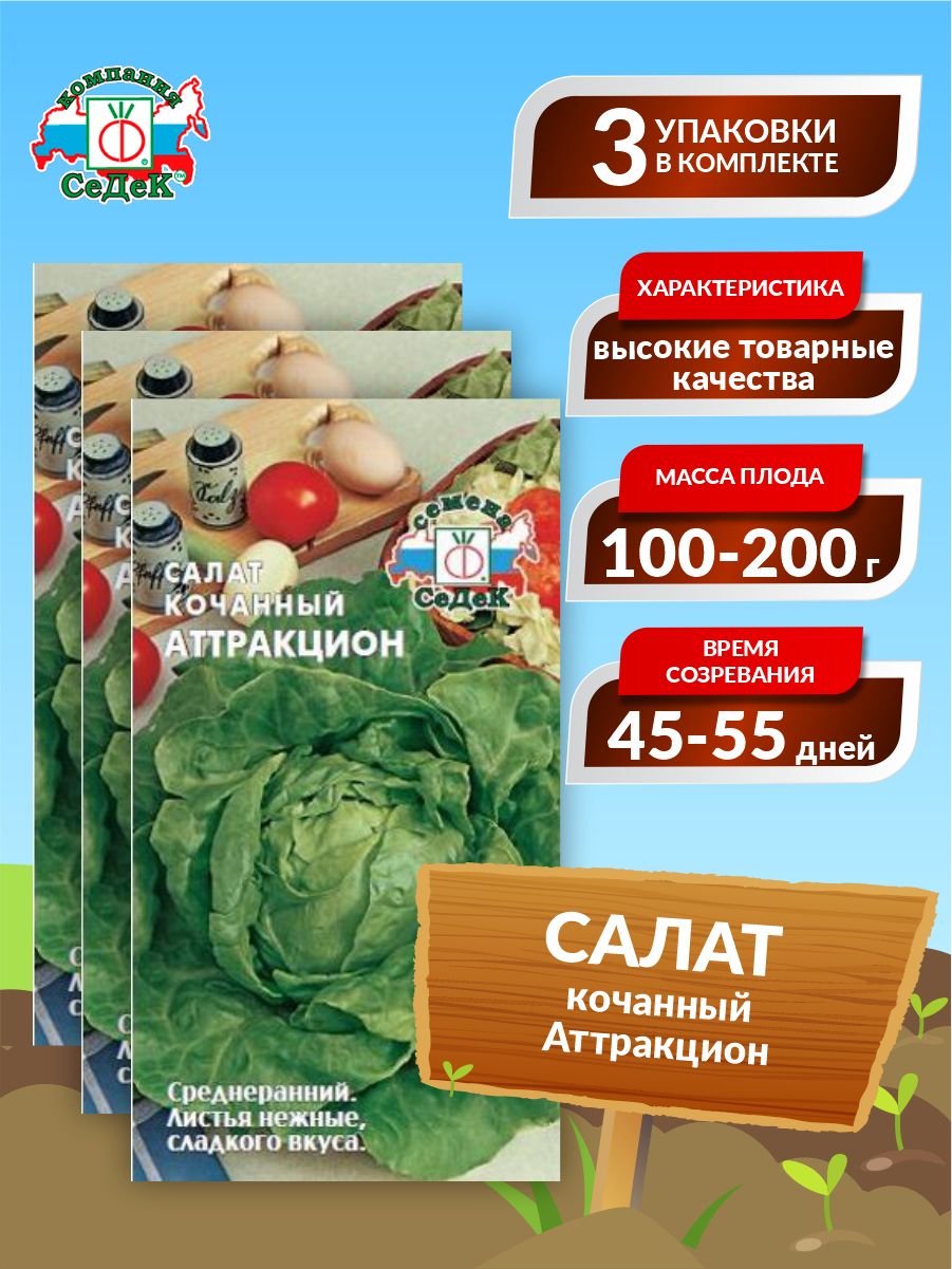 Салат Седек салат - купить по выгодным ценам в интернет-магазине OZON(886268191)