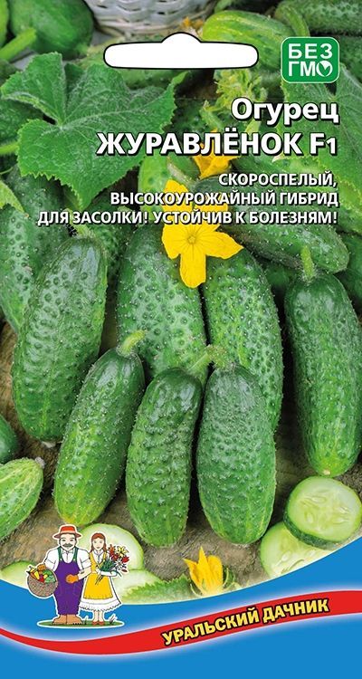 Семена Огурцы Уральский Дачник Купить