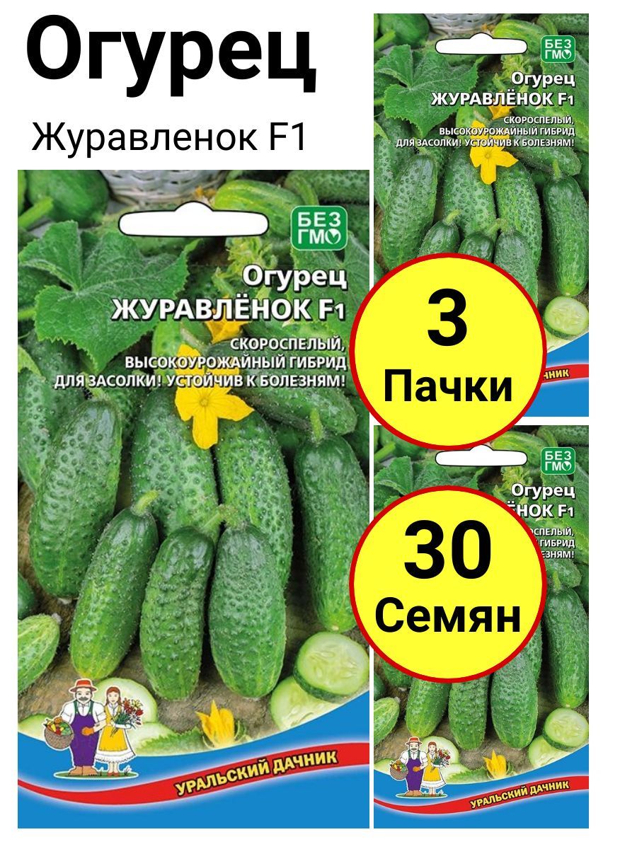 Семена Огурцы Уральский Дачник Купить