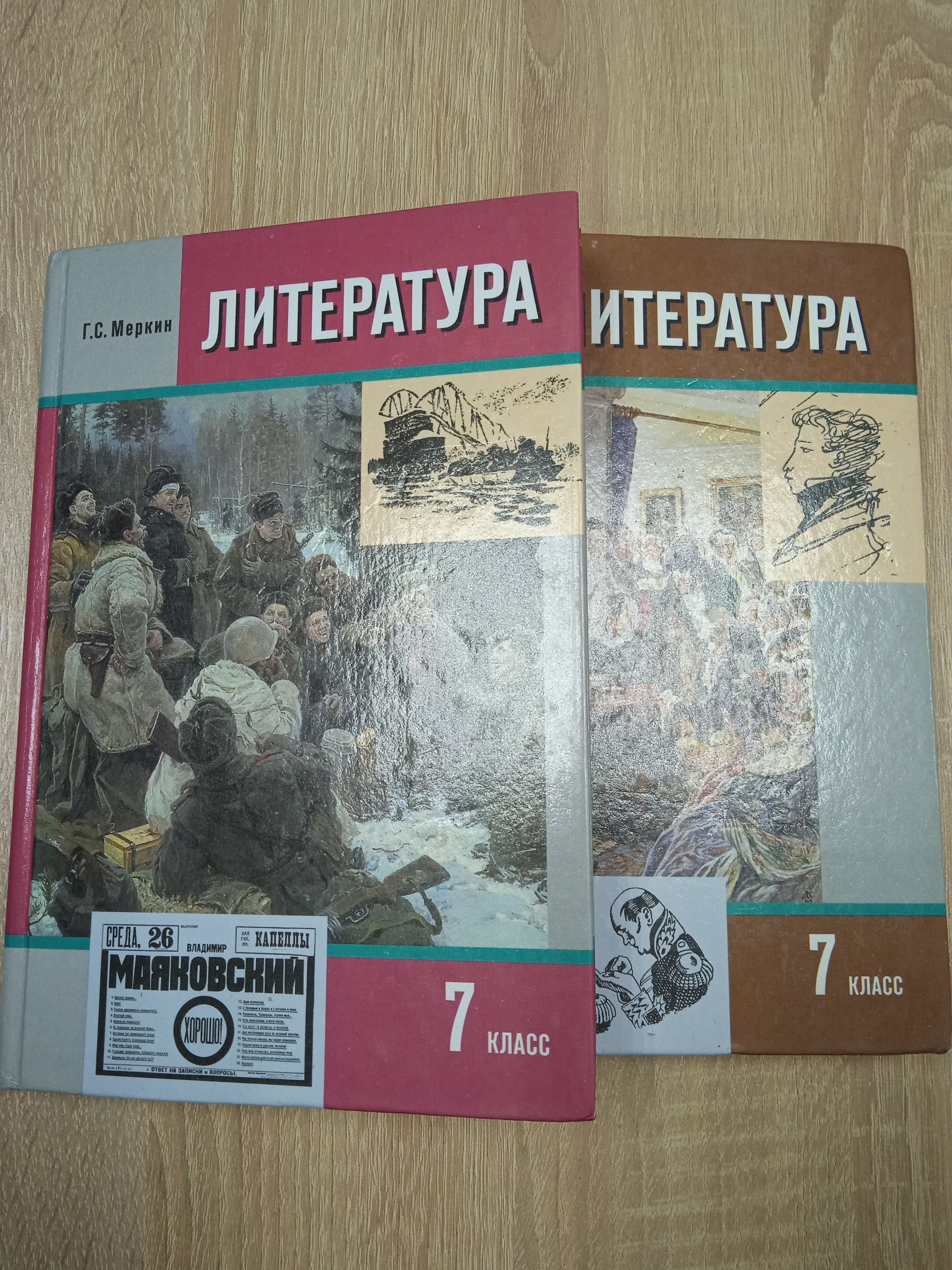 Литература 7 класс. Меркин Г. С. | Меркин Геннадий Самуйлович - купить с  доставкой по выгодным ценам в интернет-магазине OZON (919709830)