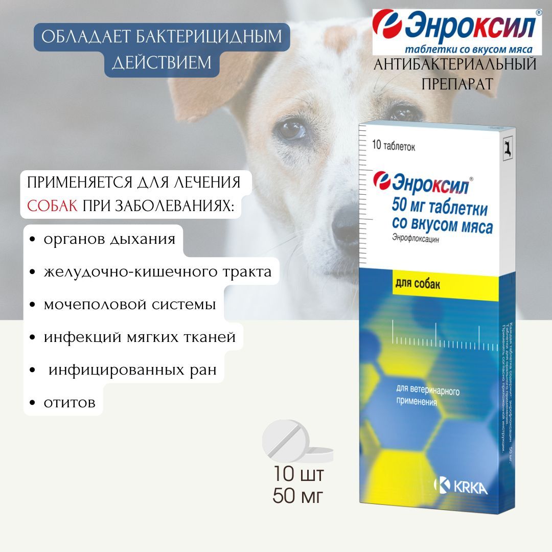 Энроксил таблетки со вкусом мяса для собак 50 мг, 10 шт - купить с  доставкой по выгодным ценам в интернет-магазине OZON (943411039)
