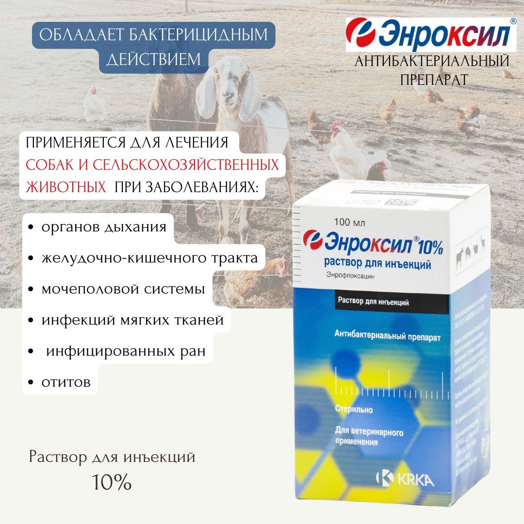 Энроксил инструкция. Энроксил 2,5%. Энроксил 150 мг. Энроксил для собак. Энроксил 10%.