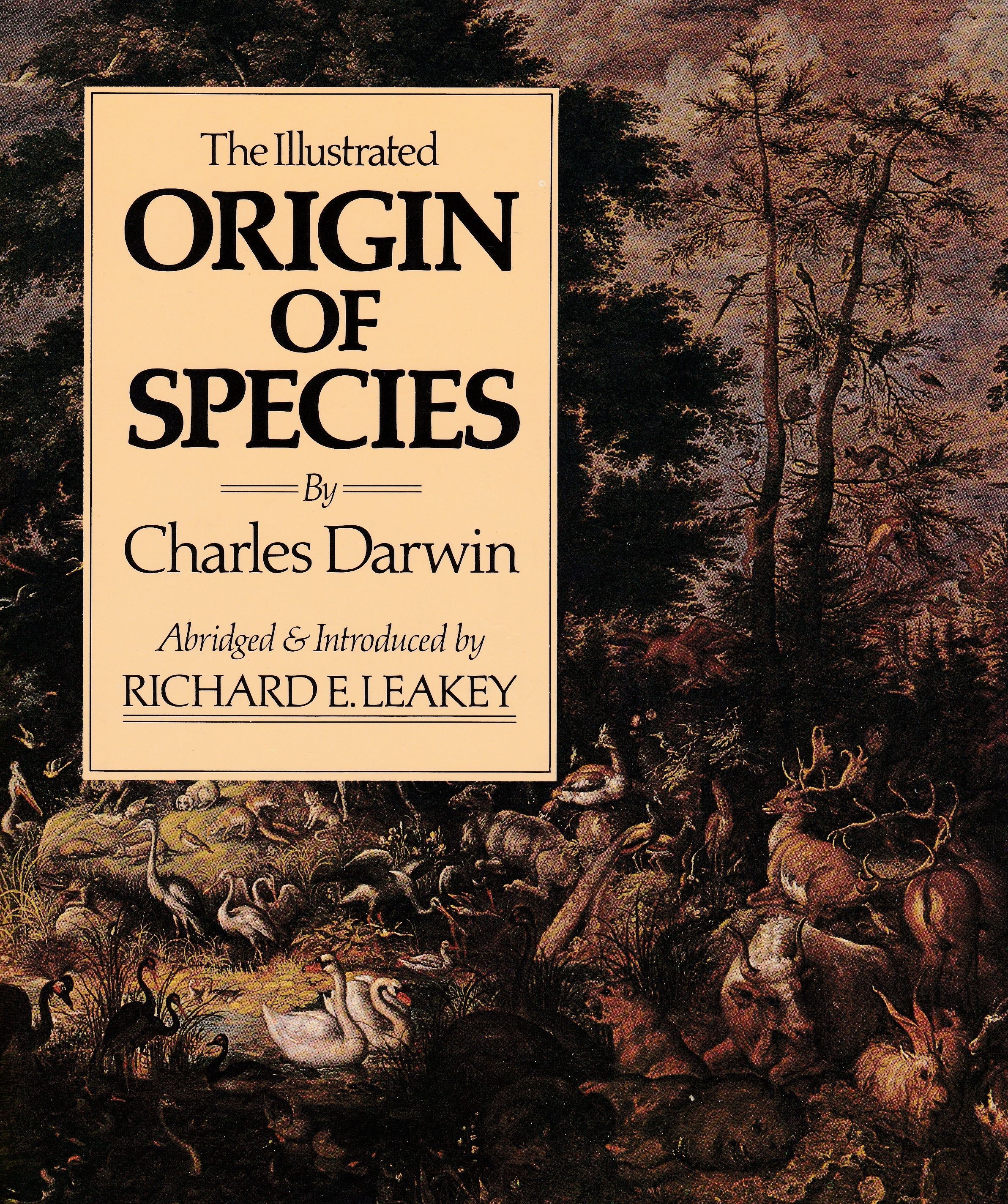 The origin of species. Дарвин the Origin of species. Книга the Origin of species. Charles Darwin the Origin of species 1850 год. On the Origin of species.