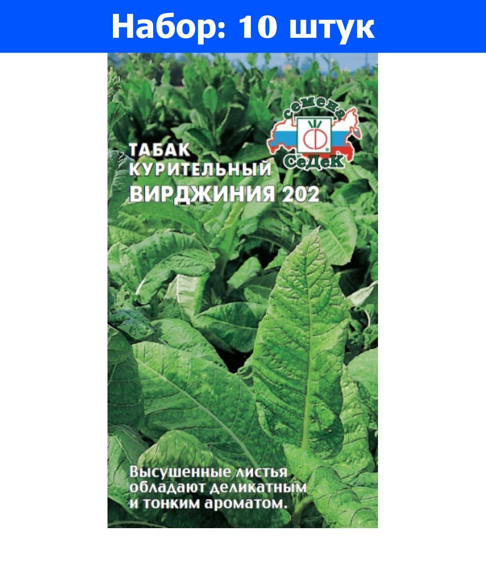 Сорт табака вирджиния описание. Табак курительный Вирджиния 202. Гавриш табак курительный Вирджиния 202 семена. Вирджиния 202 СЕДЕК. Курительный табак Вирджиния 202 дерево.