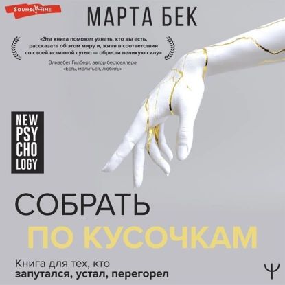 Собрать по кусочкам. Книга для тех, кто запутался, устал, перегорел | Бек Марта | Электронная аудиокнига