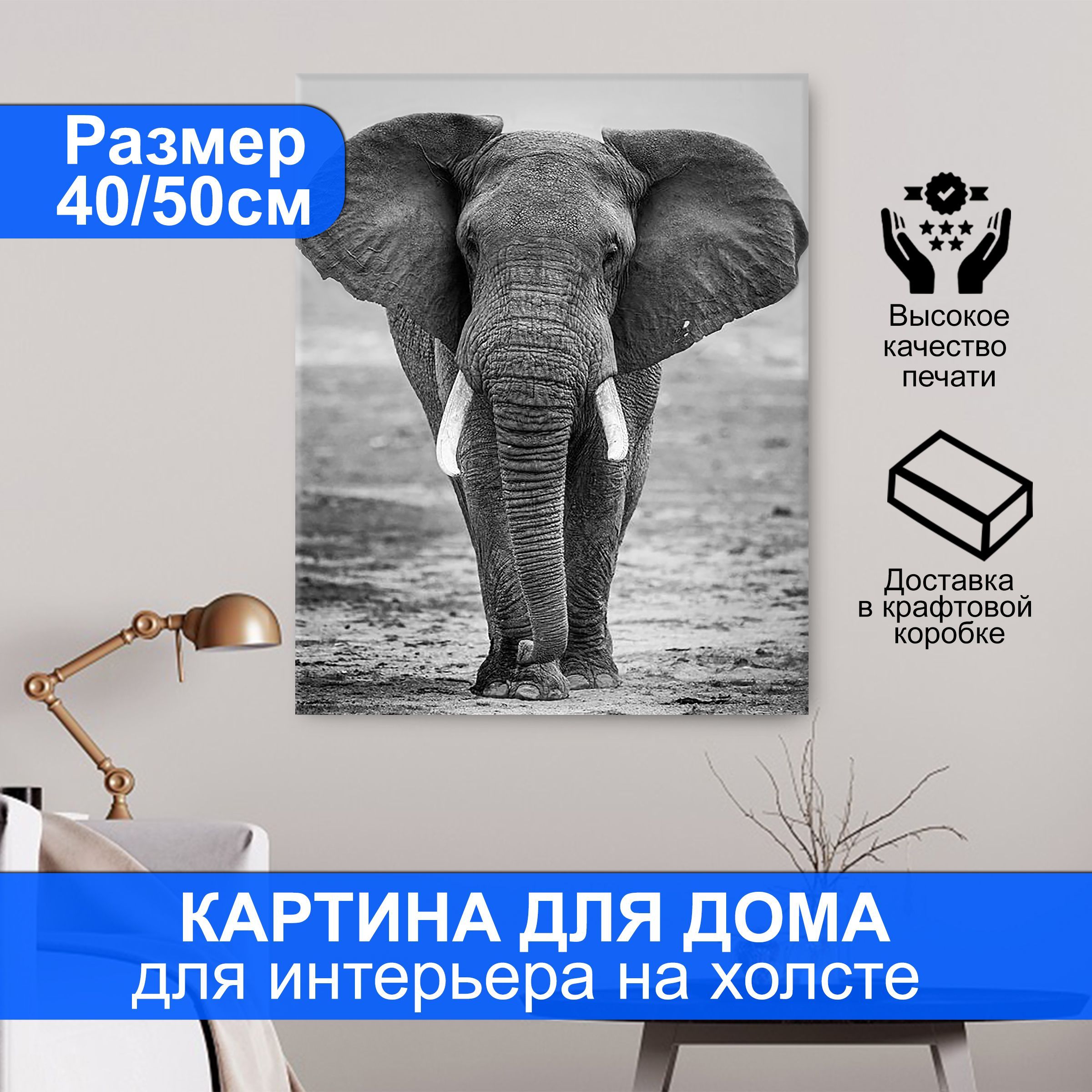 Картина для интерьера - Слон. Размер 50х40 см. - купить по низкой цене в  интернет-магазине OZON (843013855)