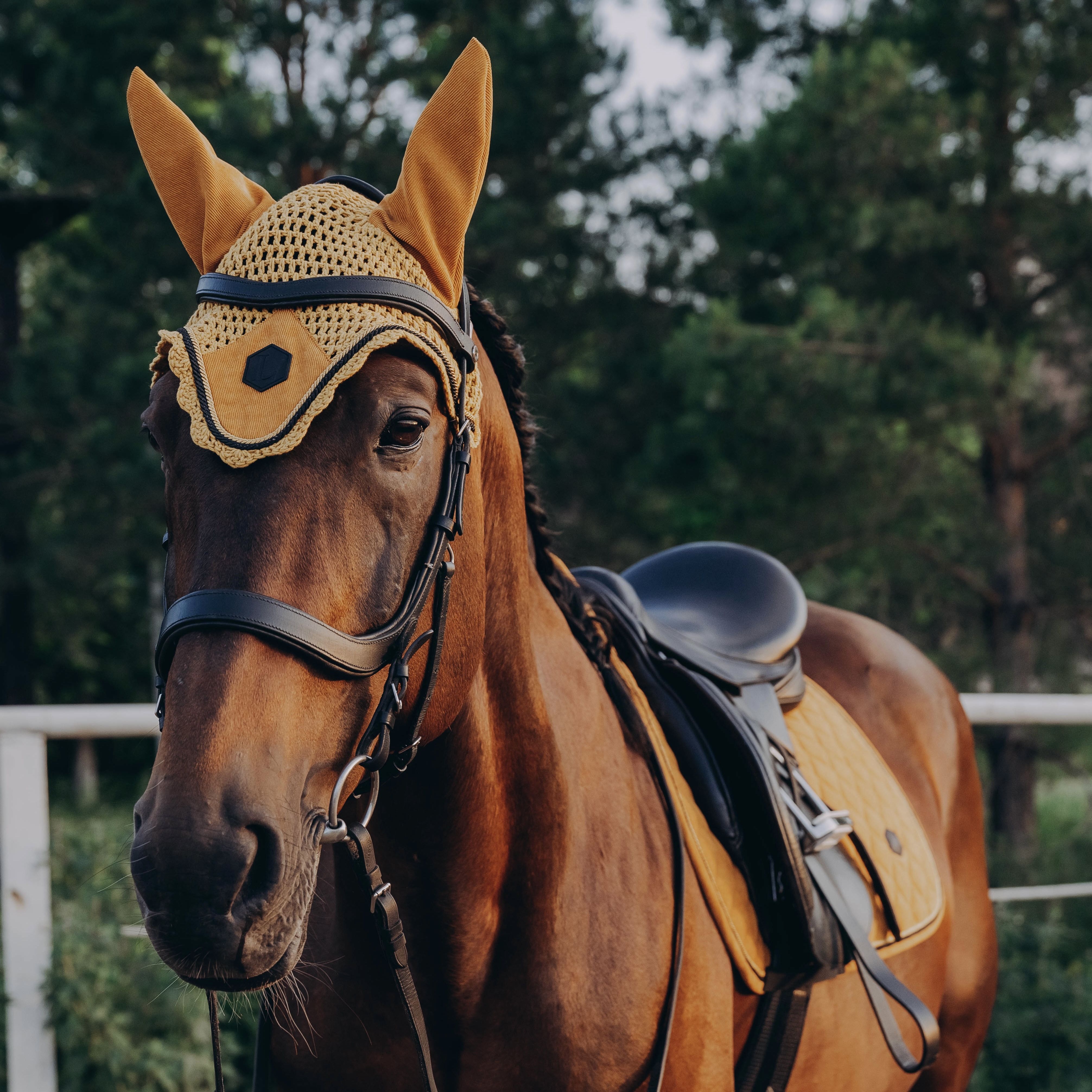 Вязаная спицами лошадка в платье Horse in a dress