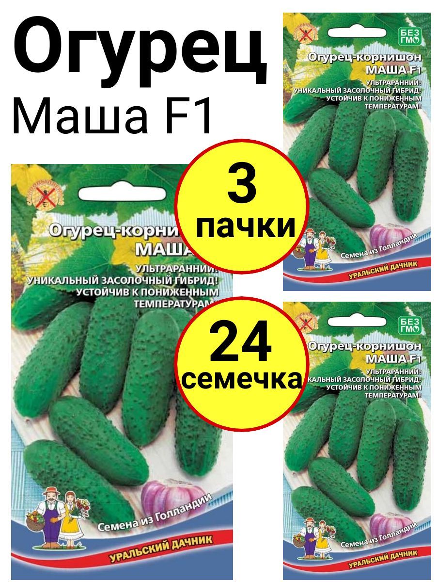 Семена Огурцы Уральский Дачник Купить