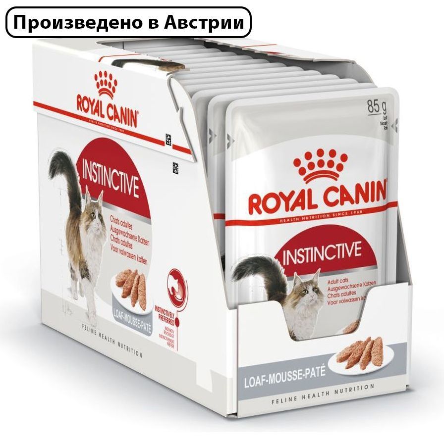 Royal canin для кошек влажный купить. Роял Канин Киттен Стерилайзд. Инстинктив желе Роял Канин. Корм Royal Canin Sterilised. Royal Canin Sterilised Jelly 12*85g.