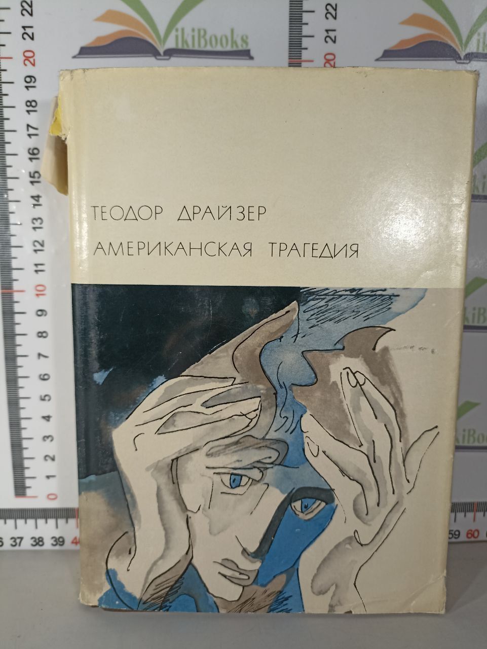 Драйзер Американская Трагедия Купить Книгу