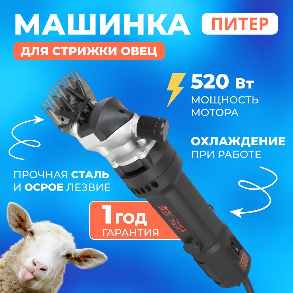 Технология стрижки овец. Скоростной метод