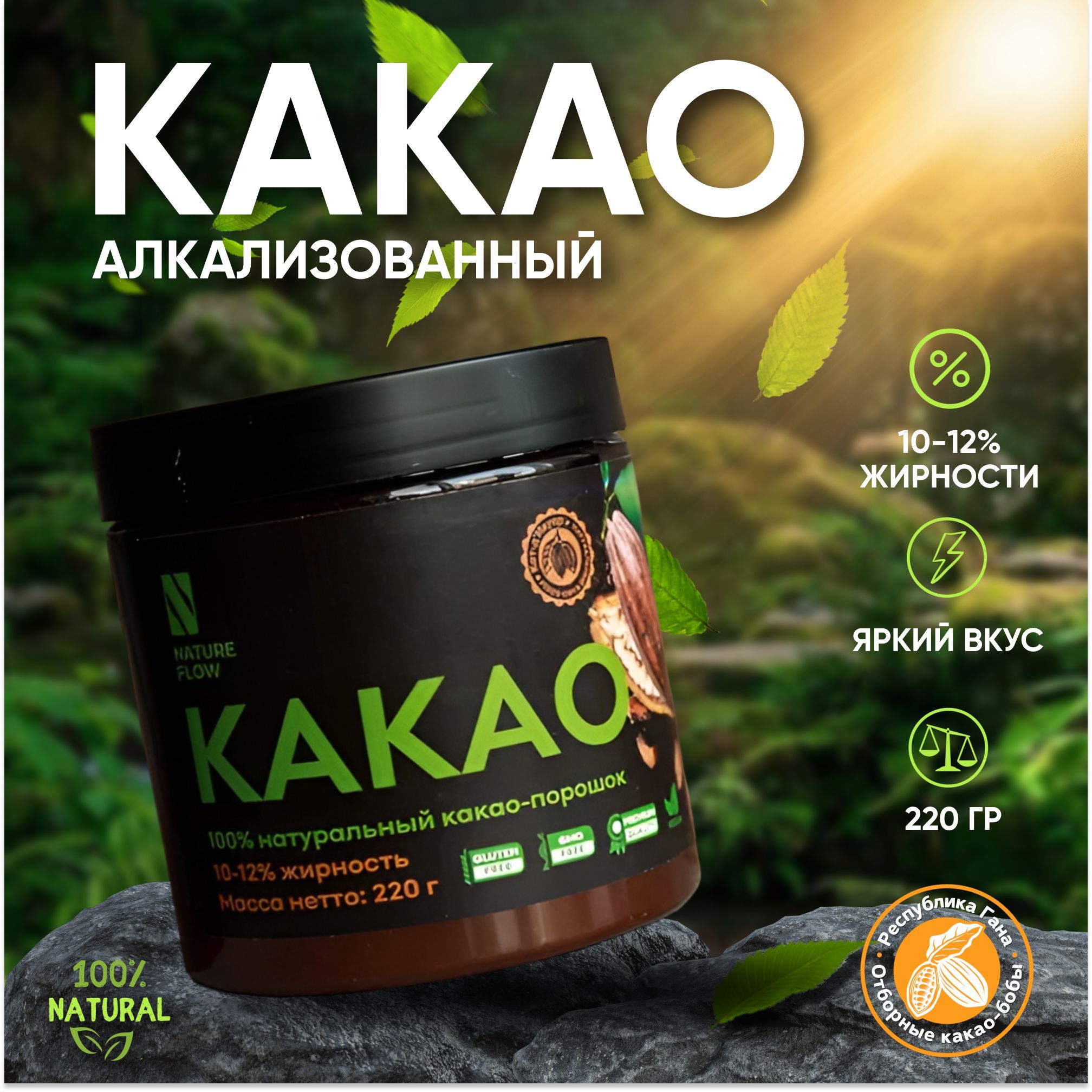 Какао алкализованный 10 12% 100г Франция