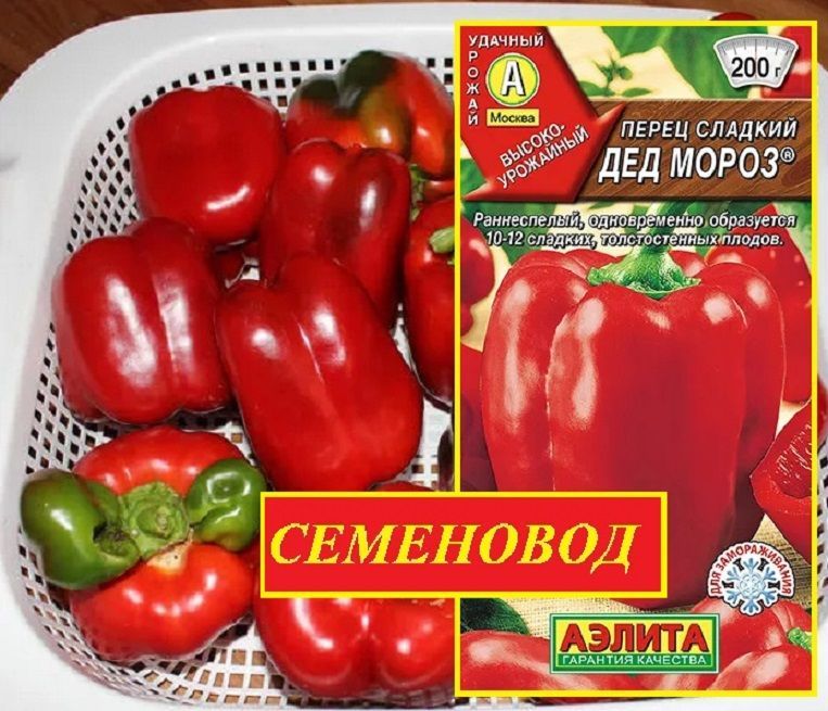 Перец сладкий Дед Мороз. I этап. Посев