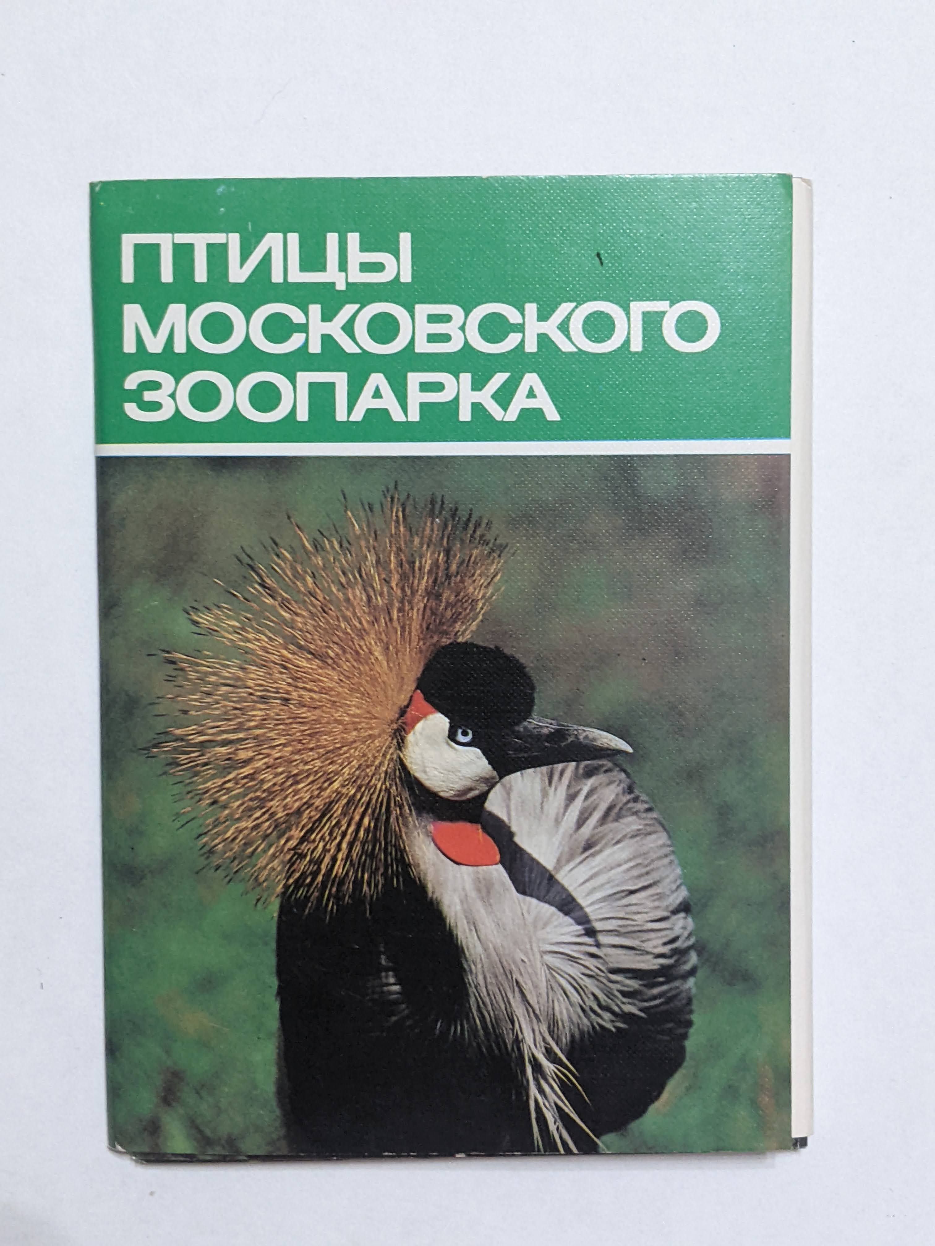 Птицы московского зоопарка