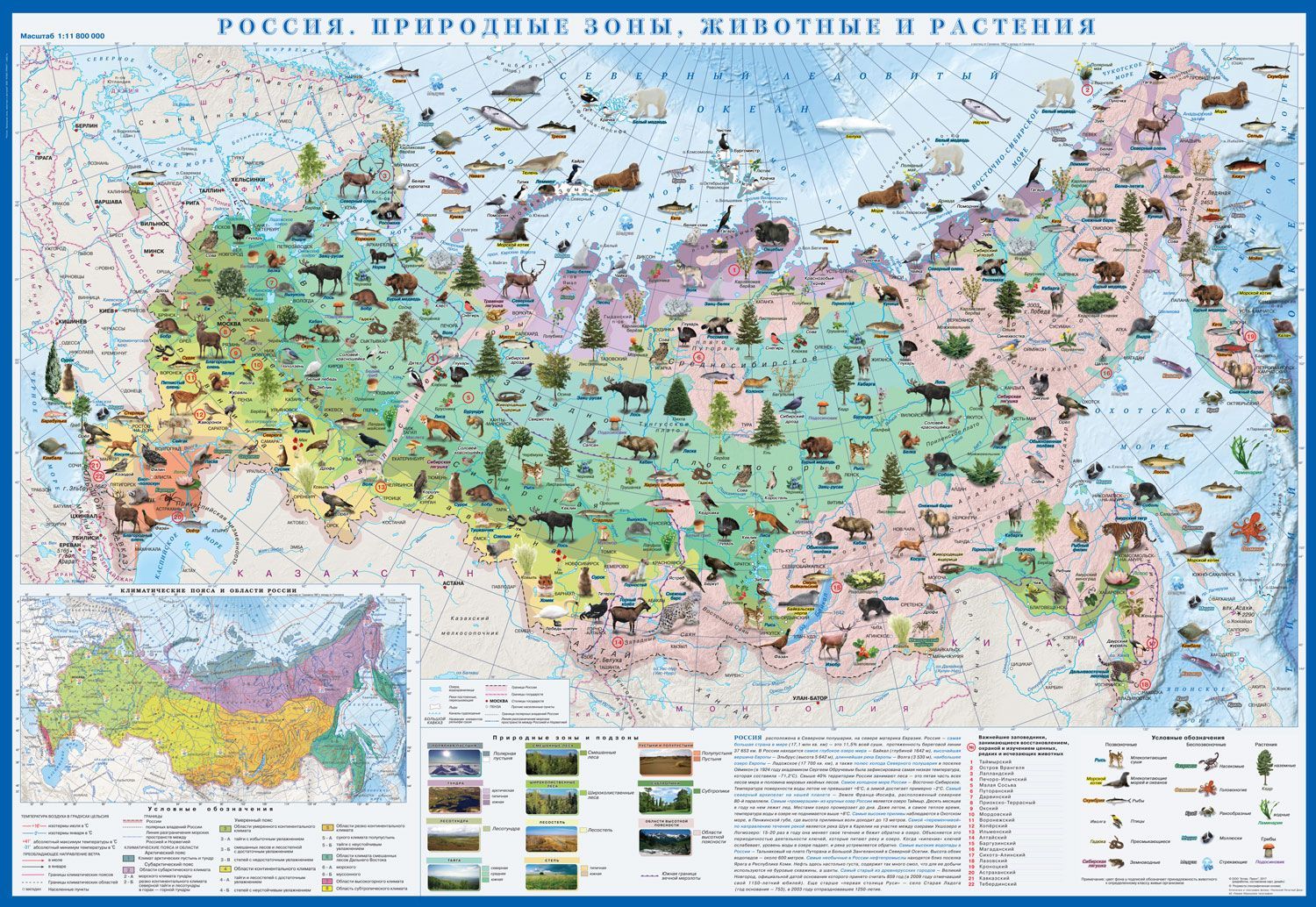 Атлас Принт Географическая карта 70 x 100 см, масштаб: 1:10 000 000