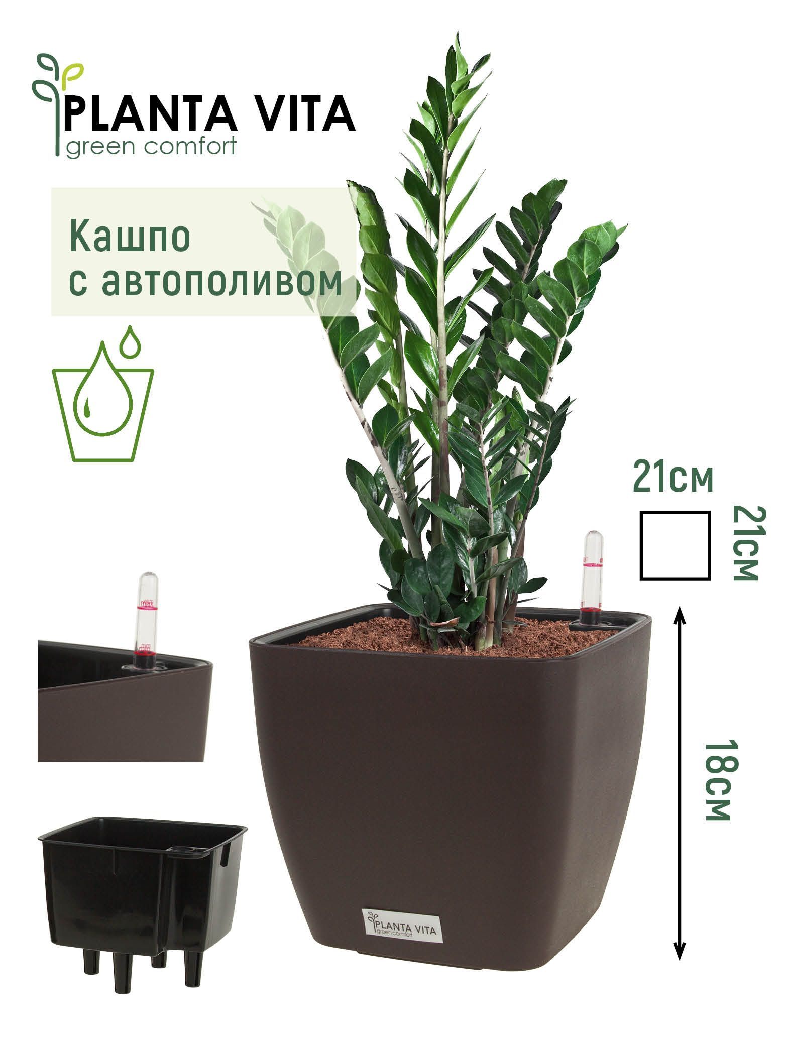 Кашпо planta Vita balcony Silk