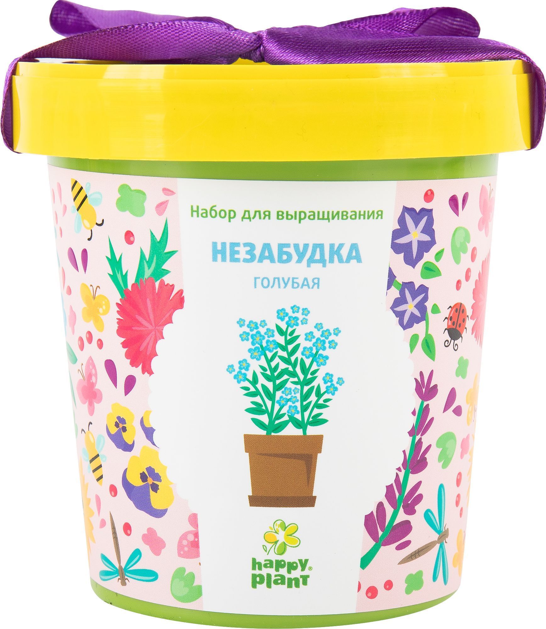 Незабудки В Горшке Купить Спб