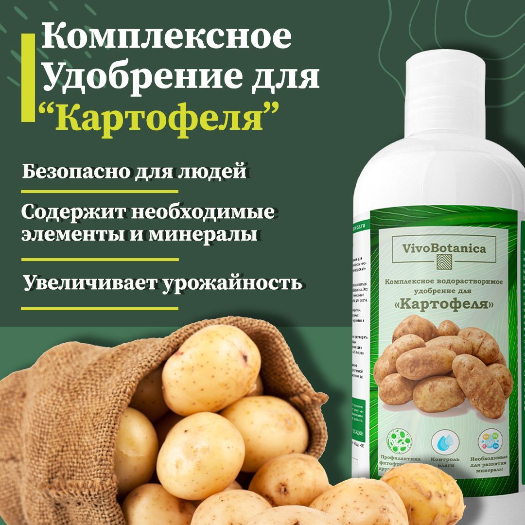 Удобрения для картофеля под зиму. Удобрения для картофеля под зиму