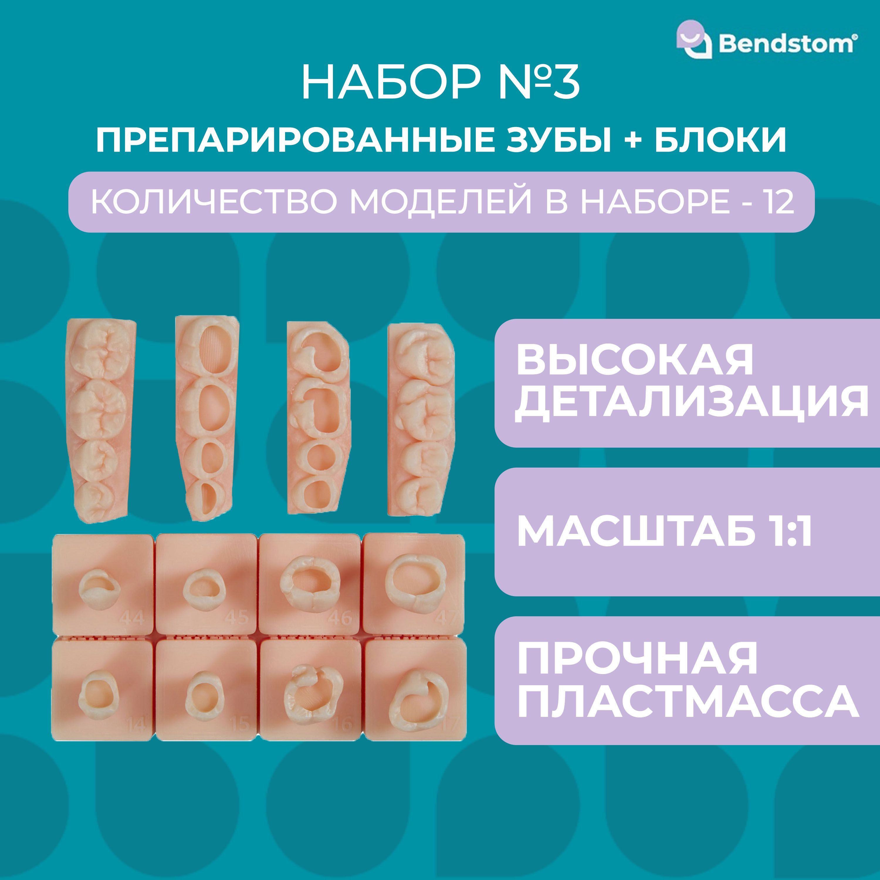 Набор №3 препарированные зубы + жевательные блоки для отработки мануальных  навыков / стоматологический тренажер - купить с доставкой по выгодным ценам  в интернет-магазине OZON (484179704)