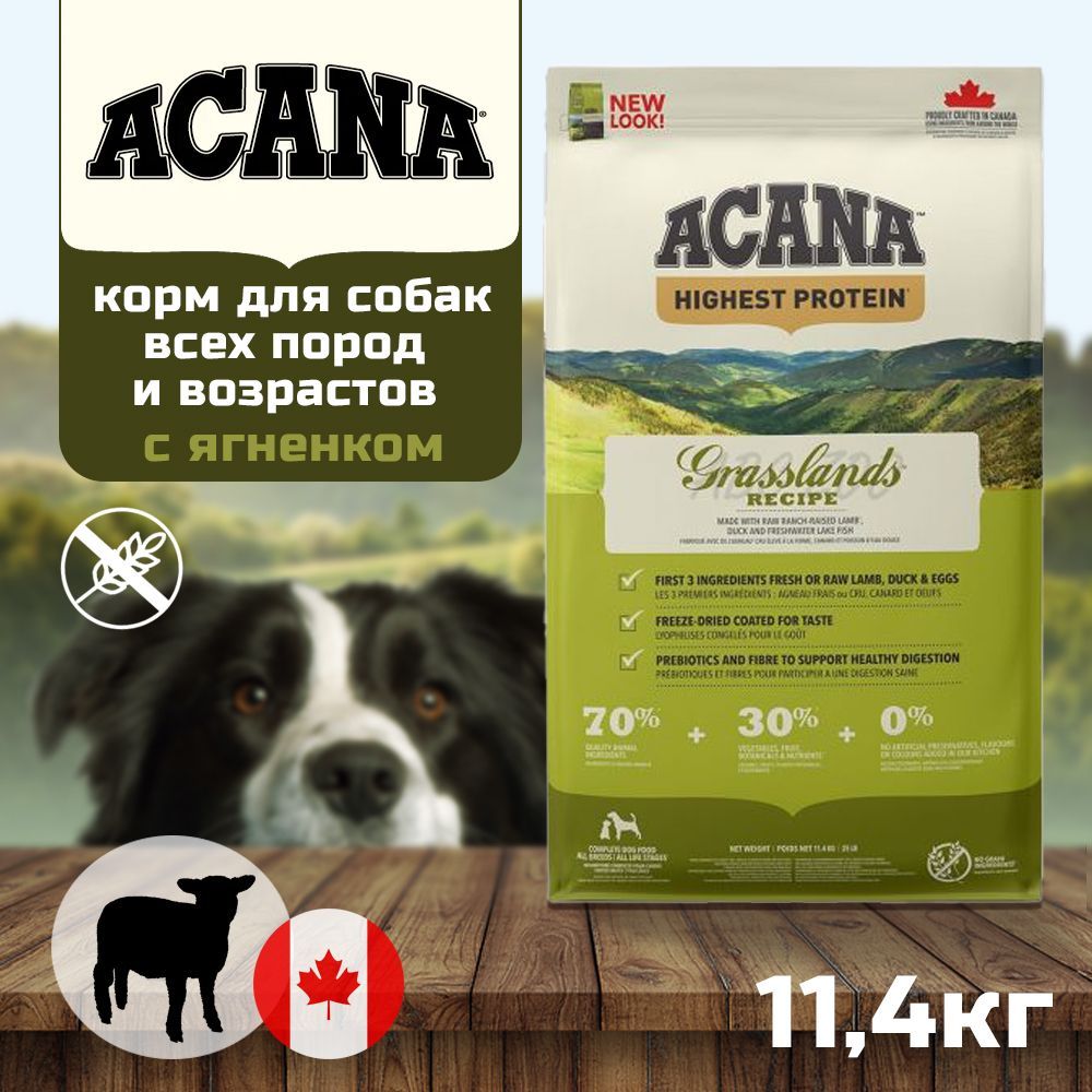Сухие корма для собак Acana – купить в интернет-магазине OZON по низкой ...