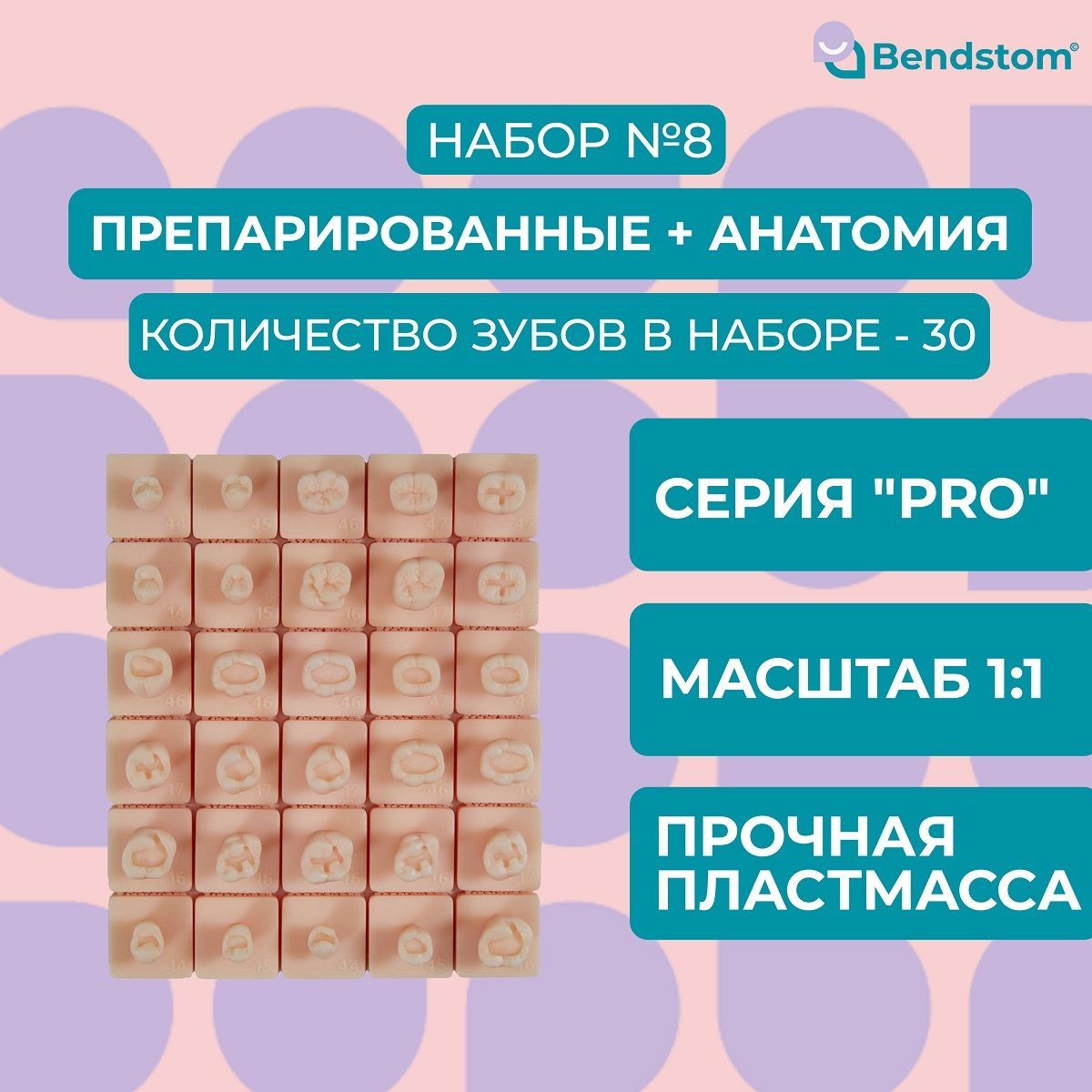 Набор №8 зубы PRO (30 штук) препарированные + анатомия для отработки мануальных навыков / стоматологические модели для реставрации