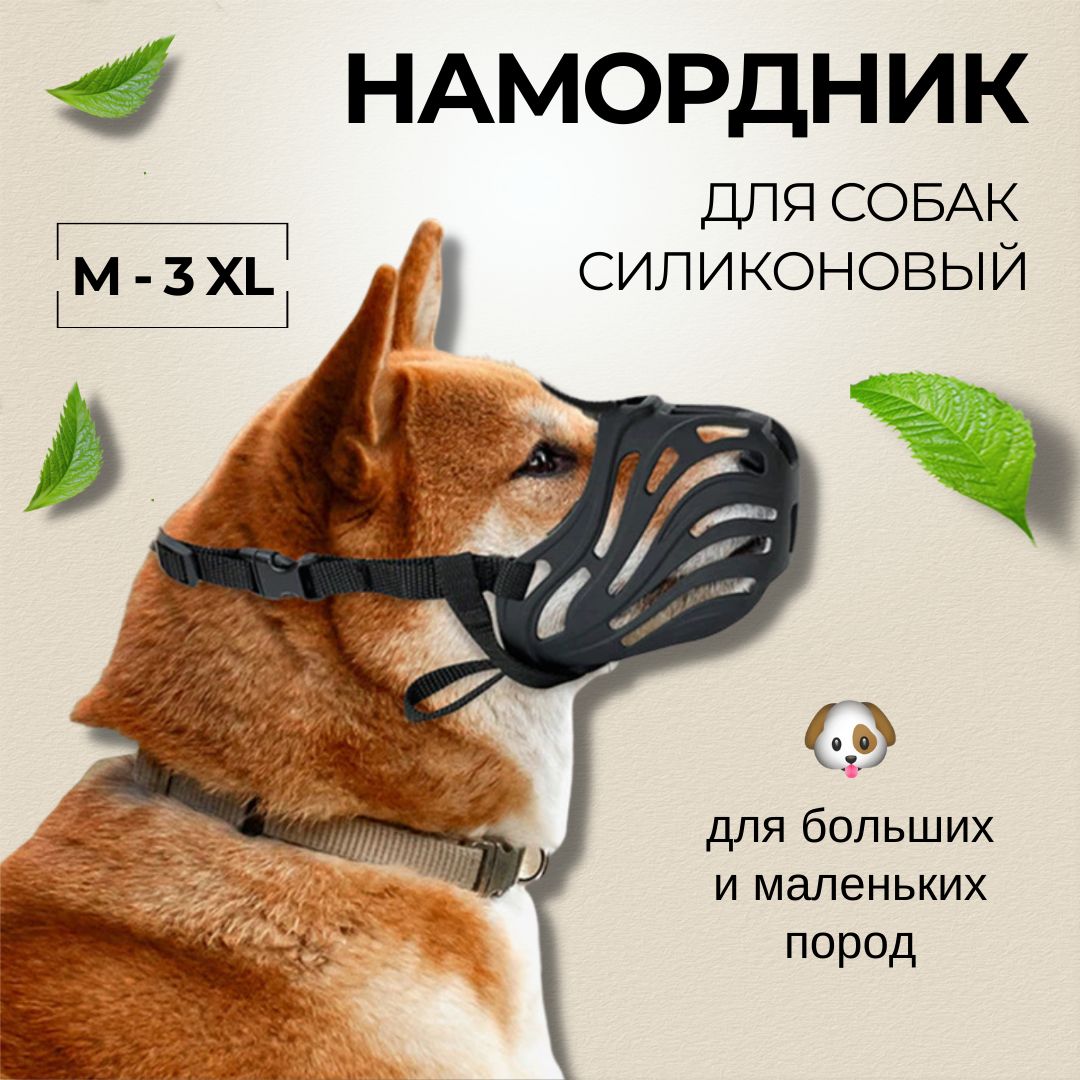 How to train your dog to a muzzle