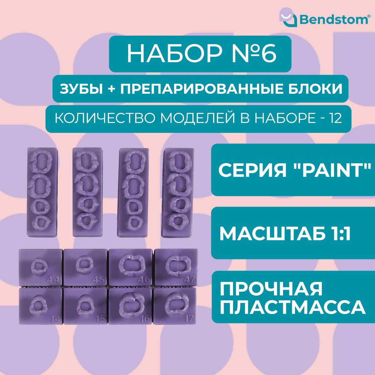 Набор №6 Paint зубы + препарированные жевательные блоки для отработки мануальных навыков / стоматологические модели для реставрации