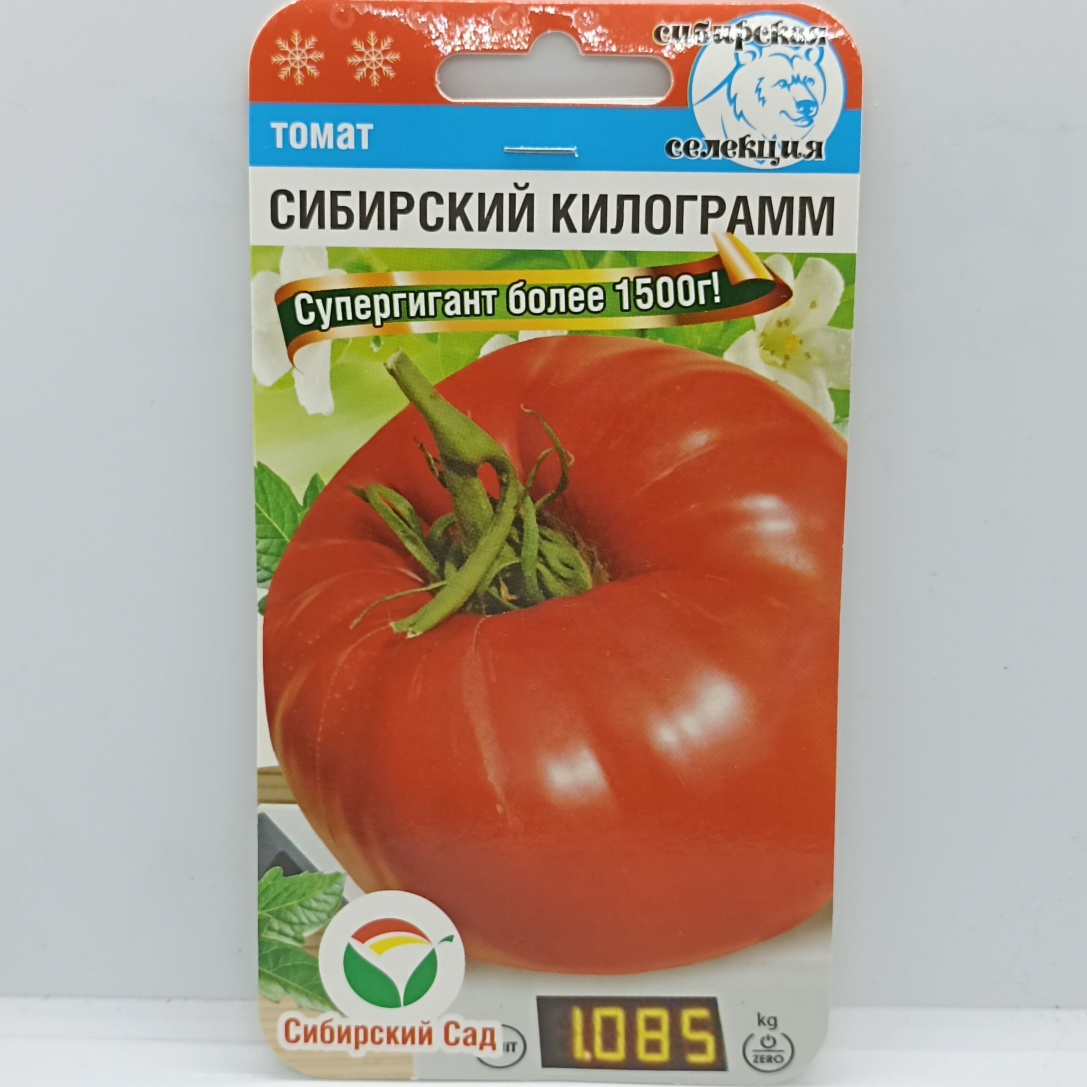 Сорт томата сибирский килограмм. Томат сибирский килограмм. Сибирский килограмм отзывы. Сибирский килограмм томат описание. Сибирский килограмм отзывы.