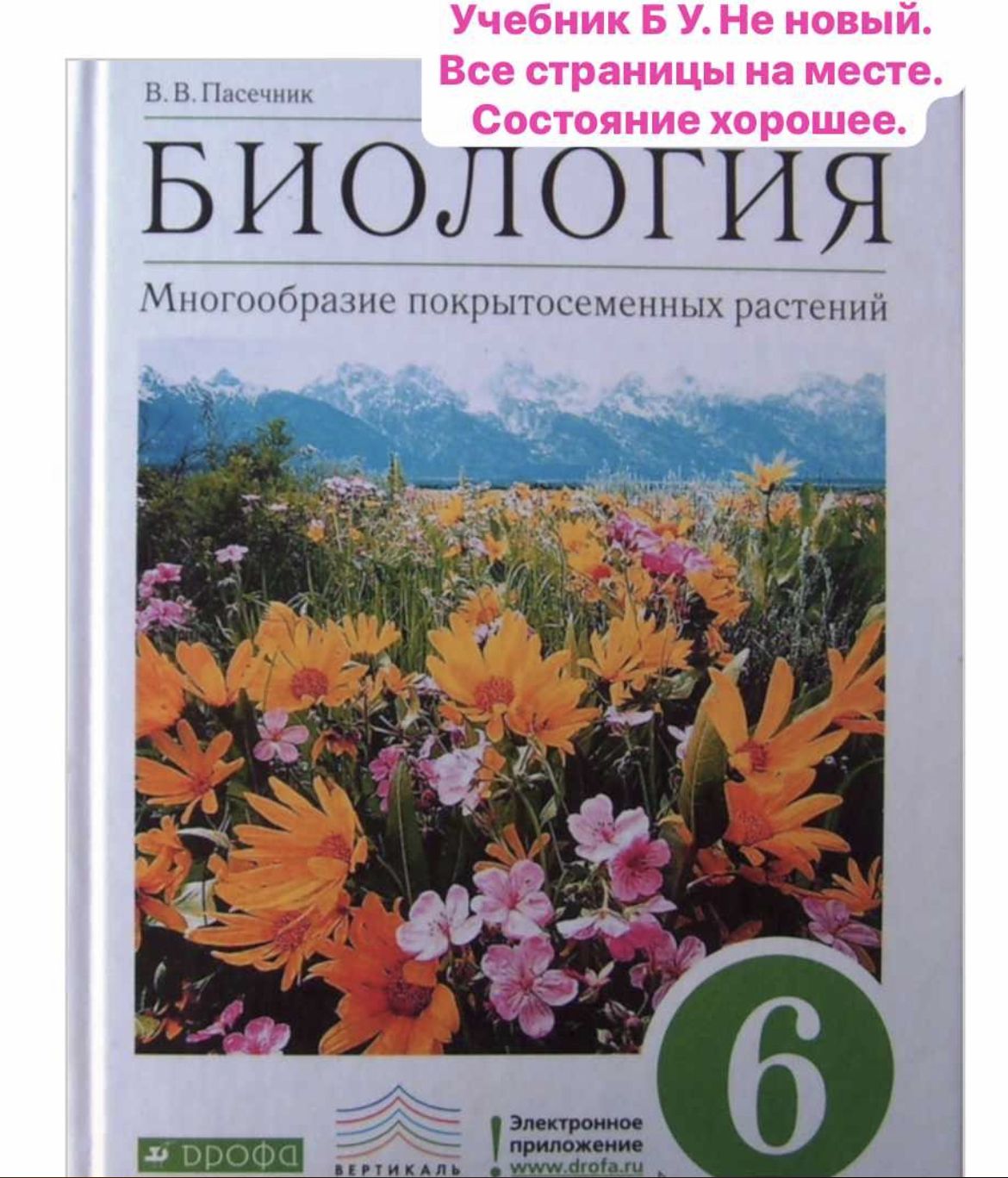 Биология 6 класс Пасечник учебник Б У Многообразие покрытосеменных Растений  издательство Дрофа | Пасечник В. В. - купить с доставкой по выгодным ценам  в интернет-магазине OZON (1217135503)