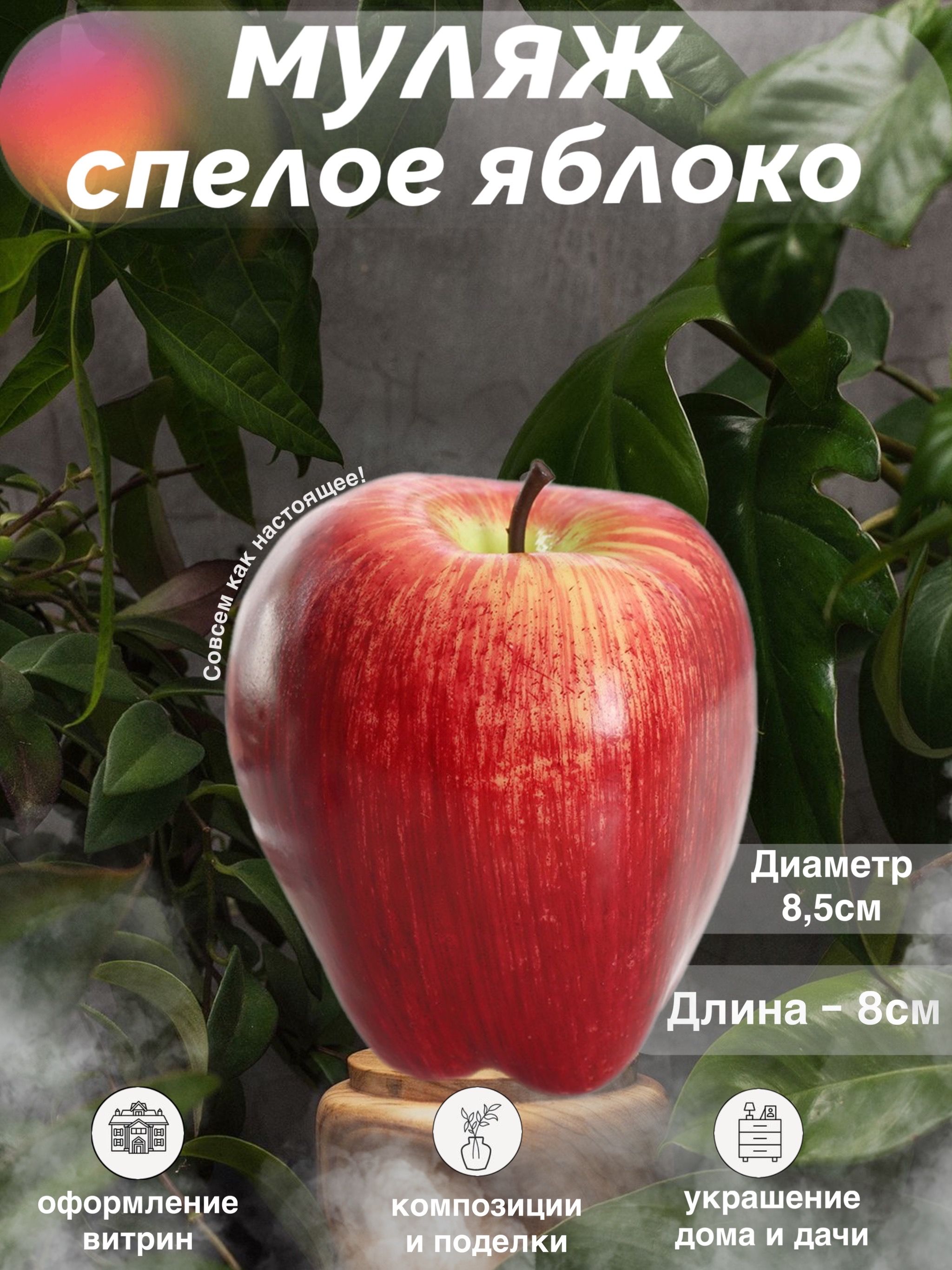 Декоративный муляж спелое яблоко 2 шт - купить по низкой цене в  интернет-магазине OZON (1268101663)