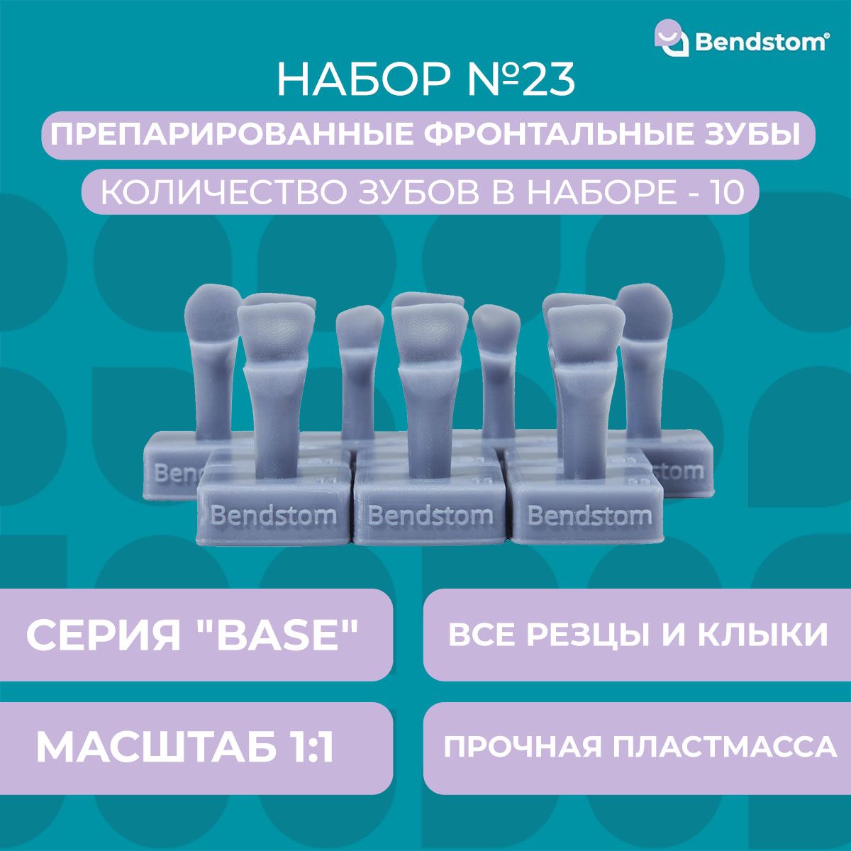 Набор №23 Base фронтальные зубы (10 штук) препарированные / для отработки мануальных навыков / стоматологические модели для реставрации