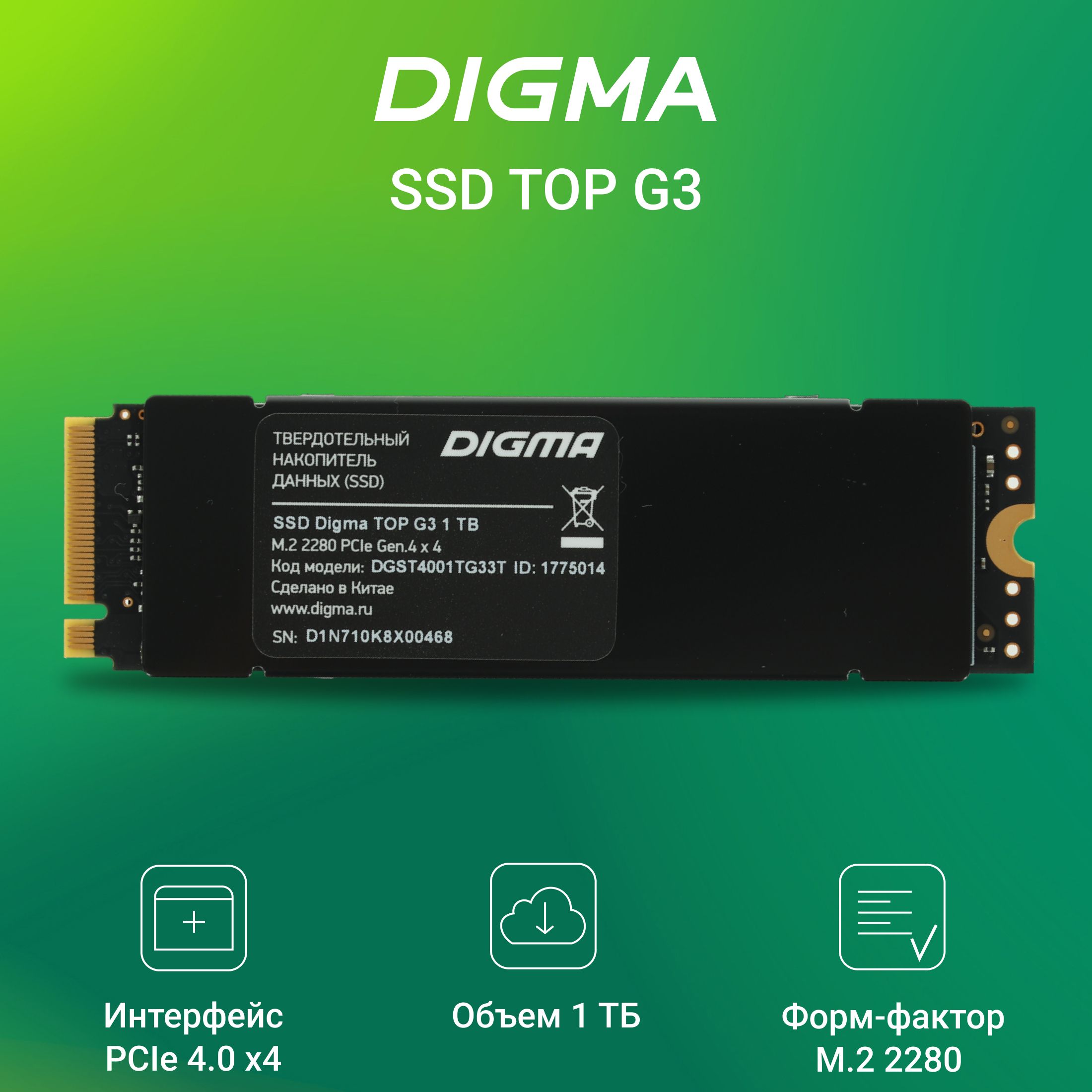 Digma1ТБВнутреннийSSD-дискTopG3,M.22280(DGST4001TG33T)