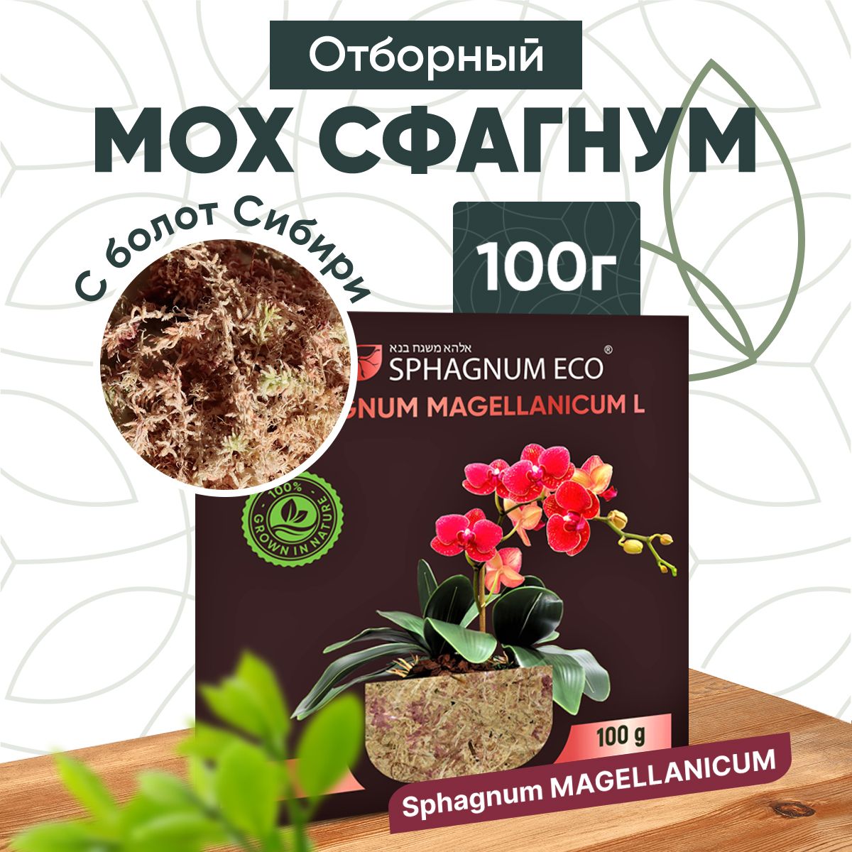 Мох сфагнум magellanicum L в брикете 100 г. (8 л.)