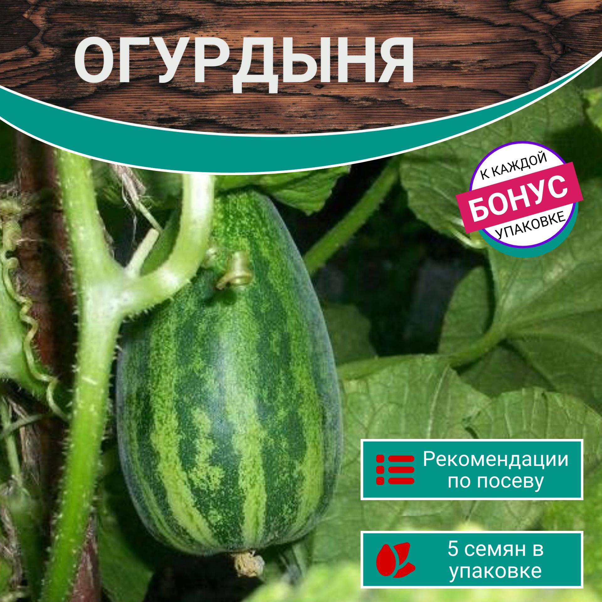 Огурдыня Купить