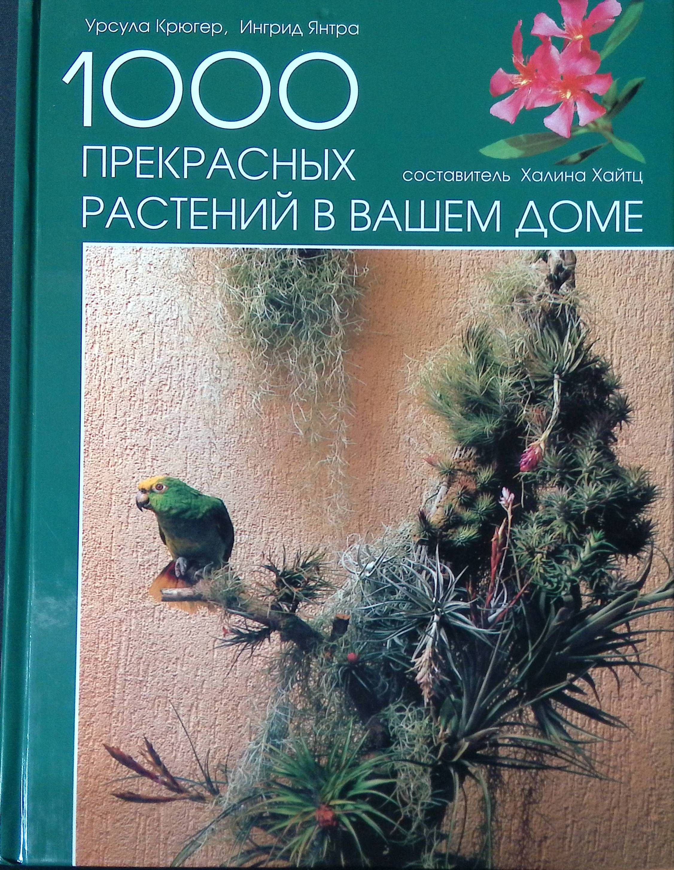 1000 прекрасных растений в вашем доме - купить с доставкой по выгодным  ценам в интернет-магазине OZON (1284468529)