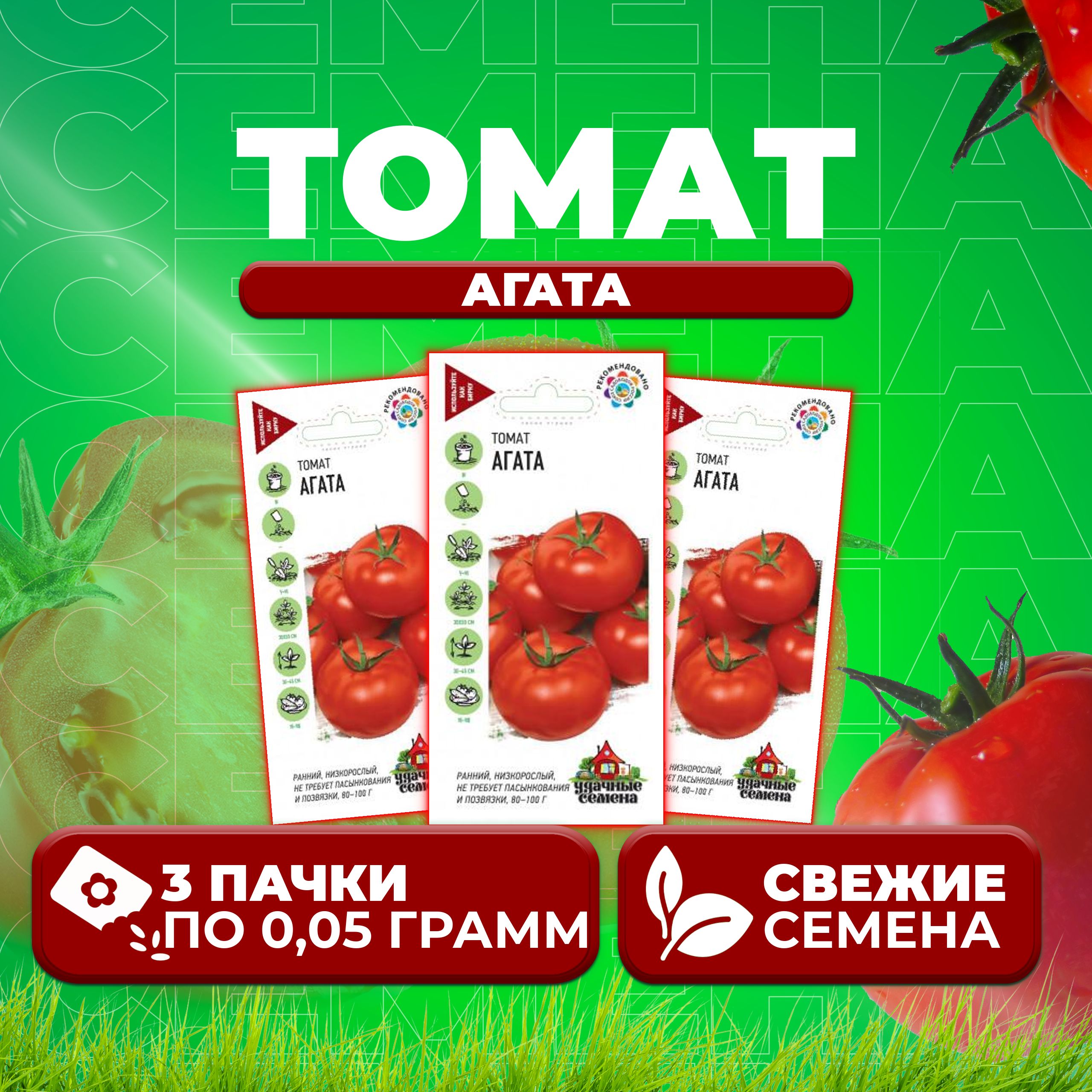 Томат Агата Характеристика И Фото