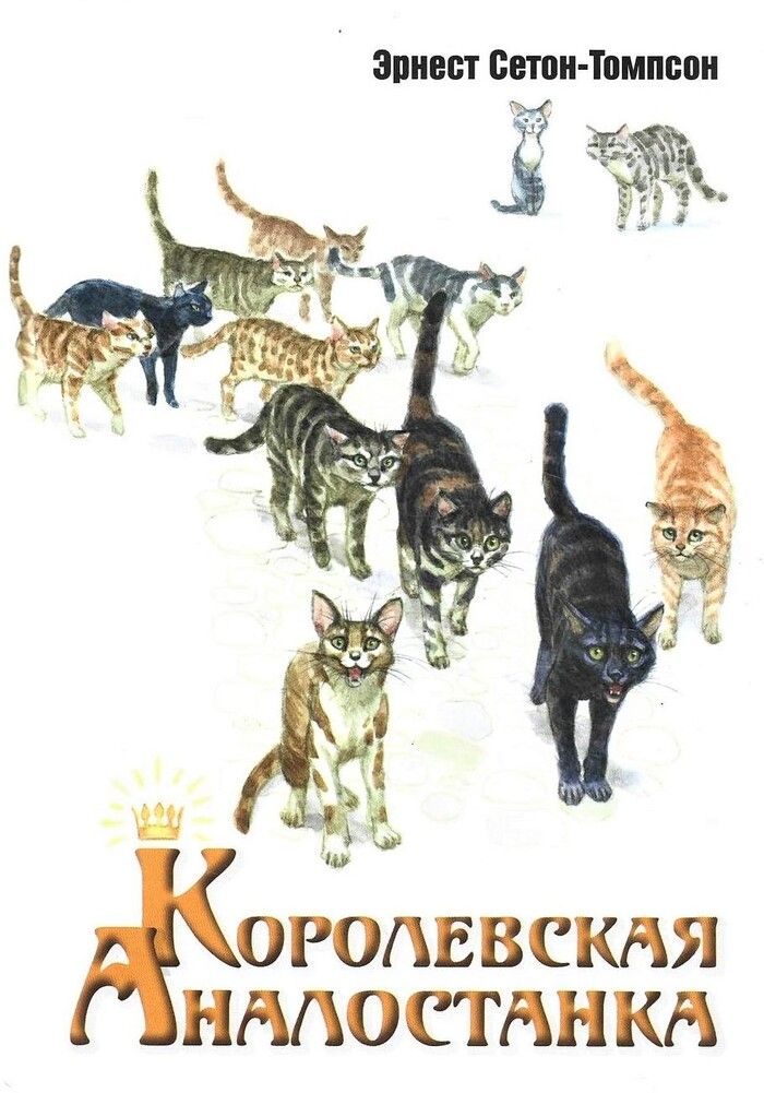 Э сетон королевская аналостанка. Сетон Томпсон Королевская Аналостанка. Королевская Аналостанка книга. Сетон Томпсон Королевская Аналостанка 1910.