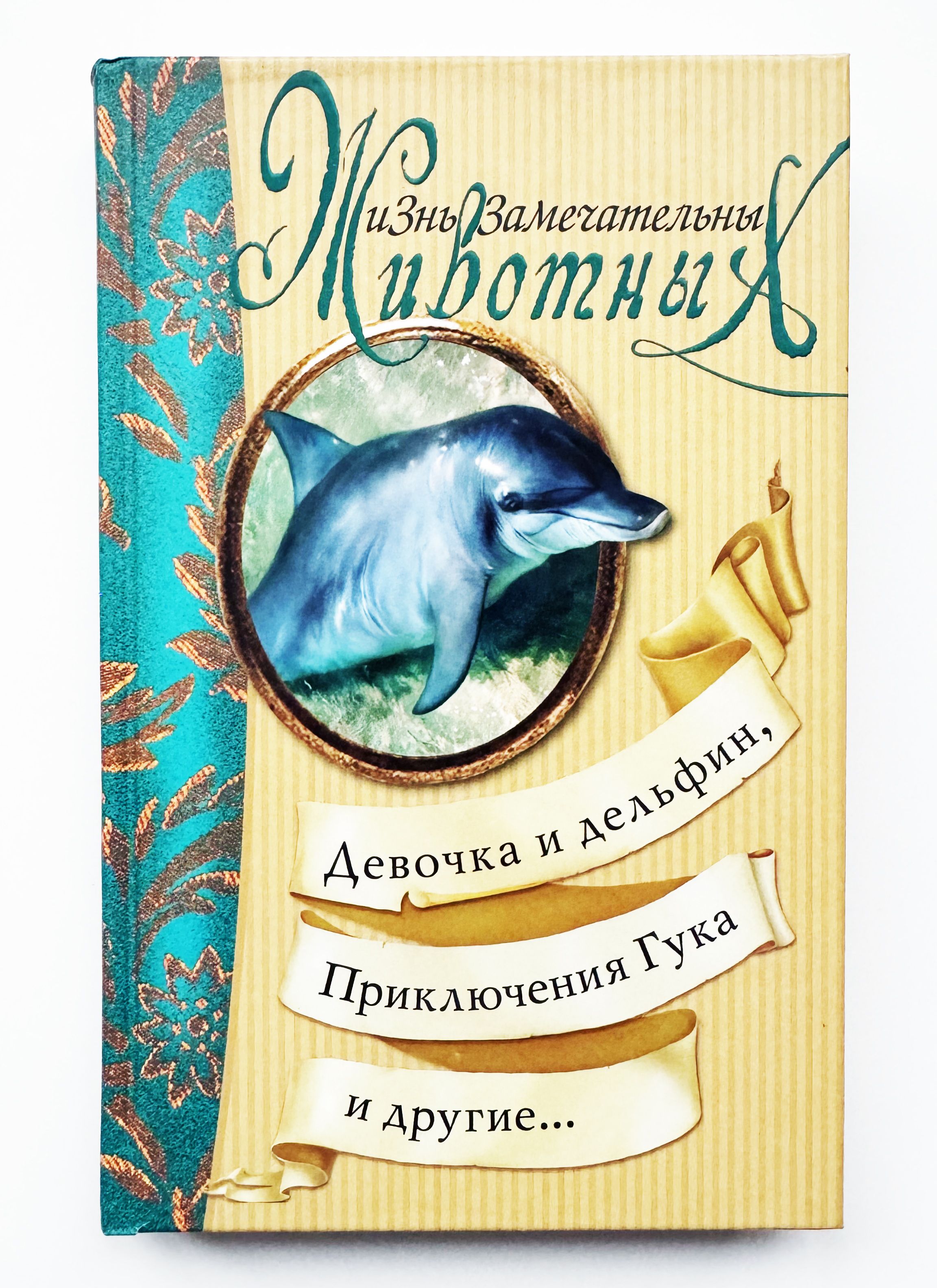 Книга приключения гука. Приключения гука. Тур трункатов приключения гука. Приключение дельфина рисунок. Дельфин гук книга.