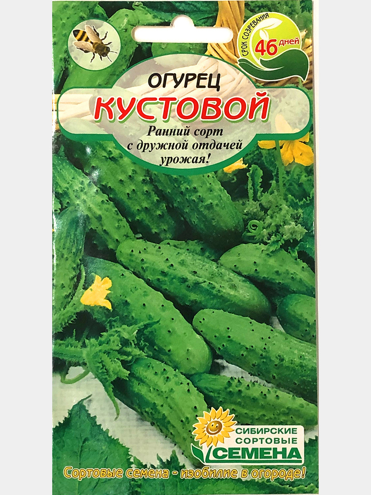 Огурец кустовой описание отзывы фото. Огурец кустовой 12шт/20.